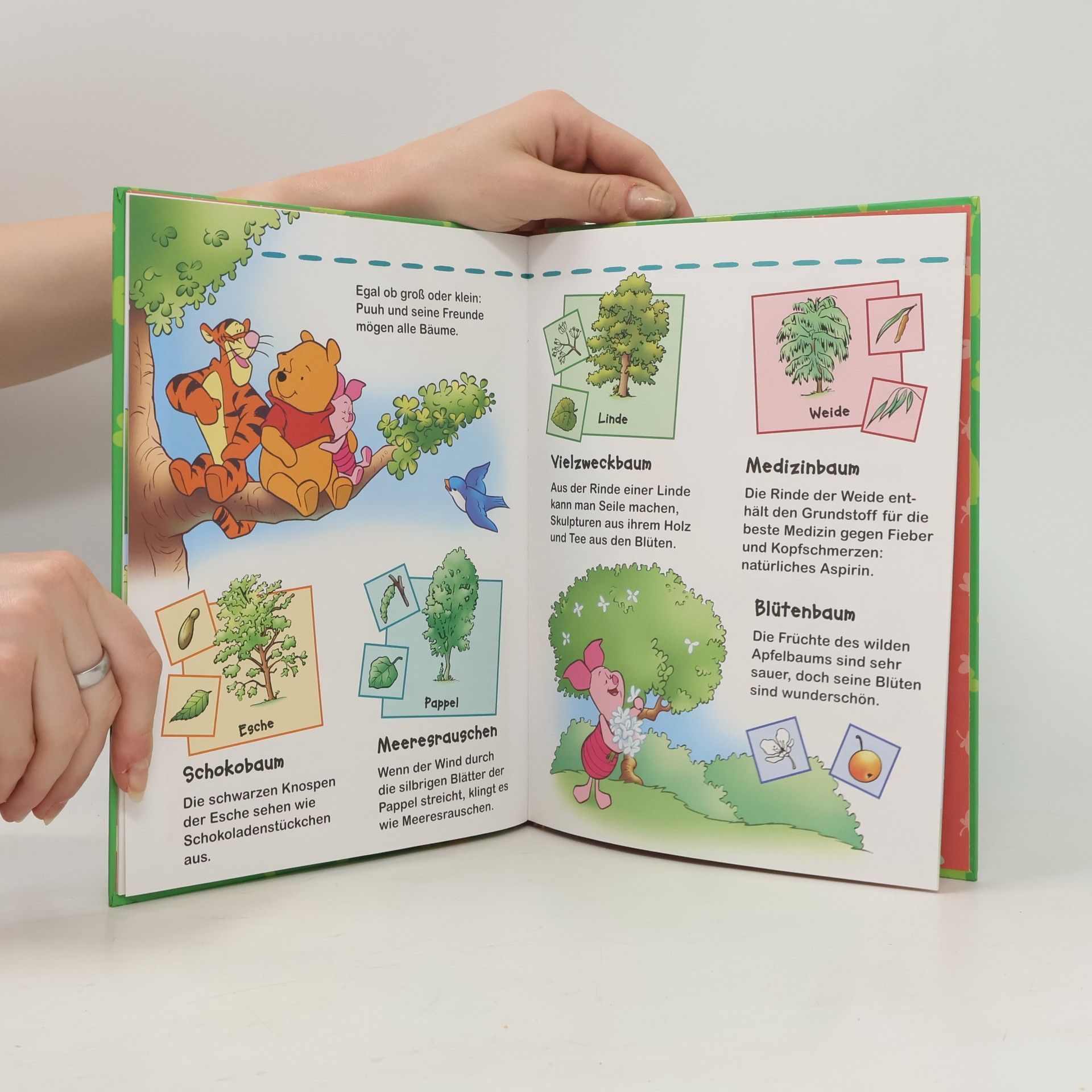 Autorenkollektiv Winnie Puuh. Entdecke Bäume