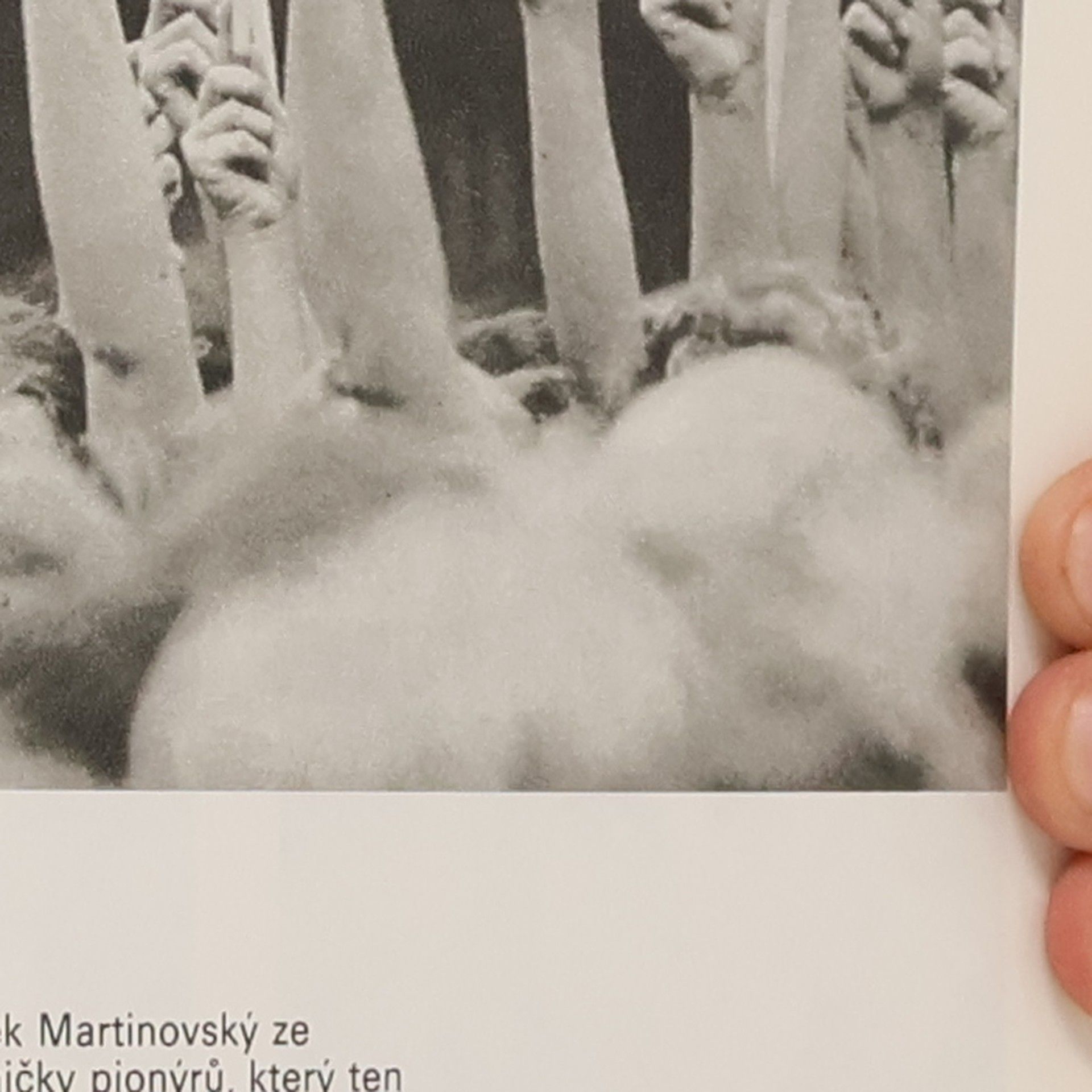 Miroslav Zajíc Inventura aneb Dvacet let fotoreportérem Mladého světa