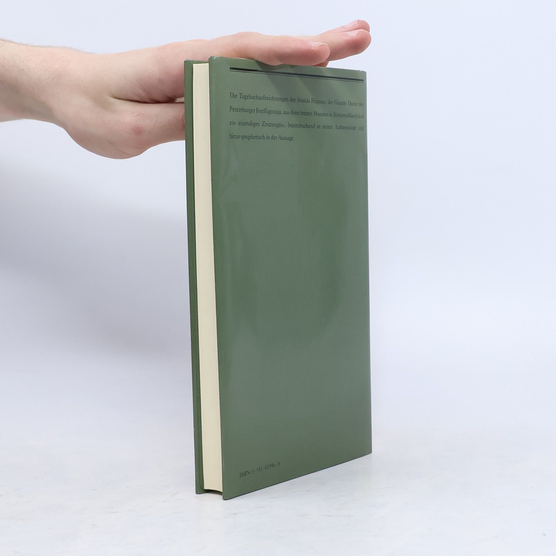 Sinaida Hippius Petersburger Tagebuch