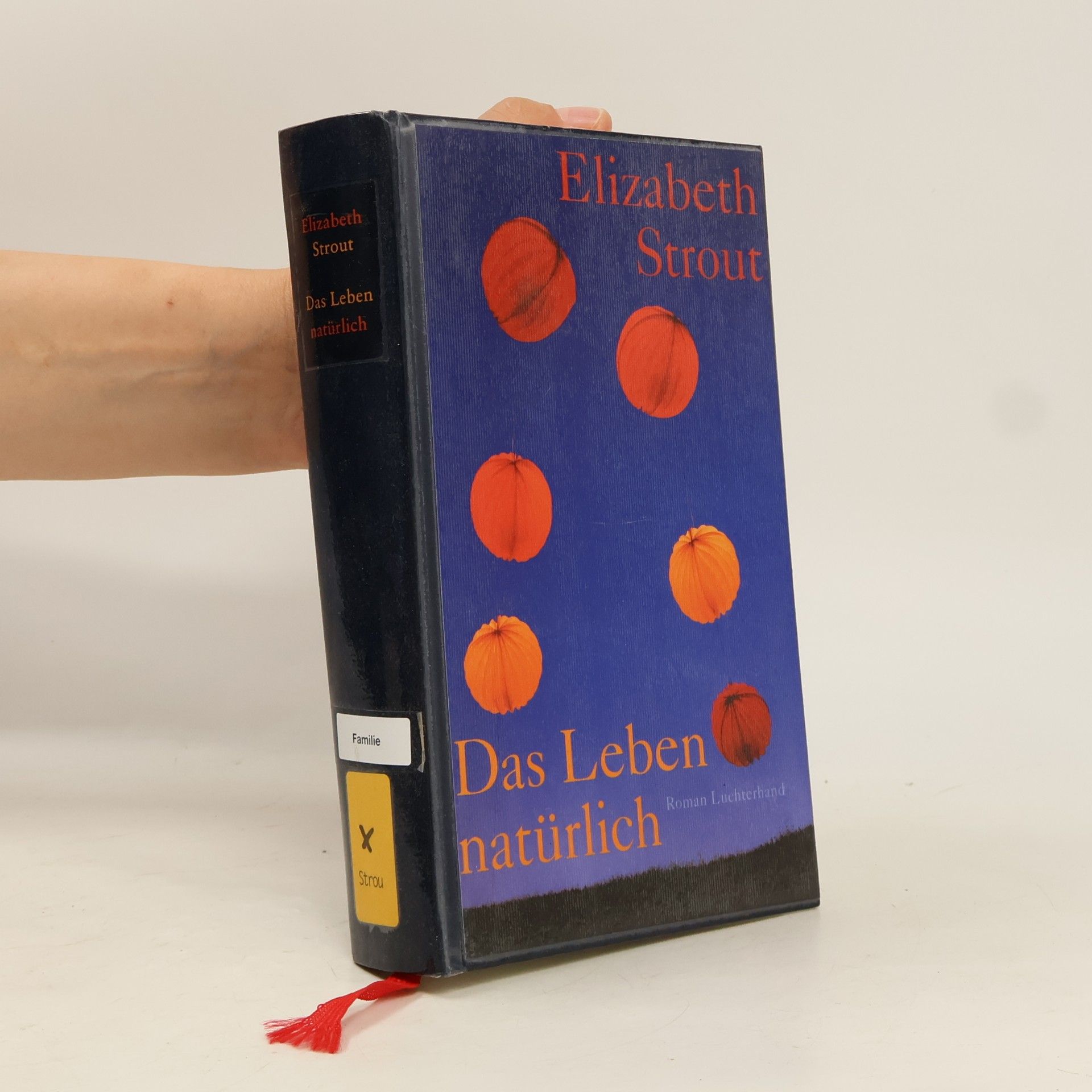Elizabeth Strout Das Leben, natürlich