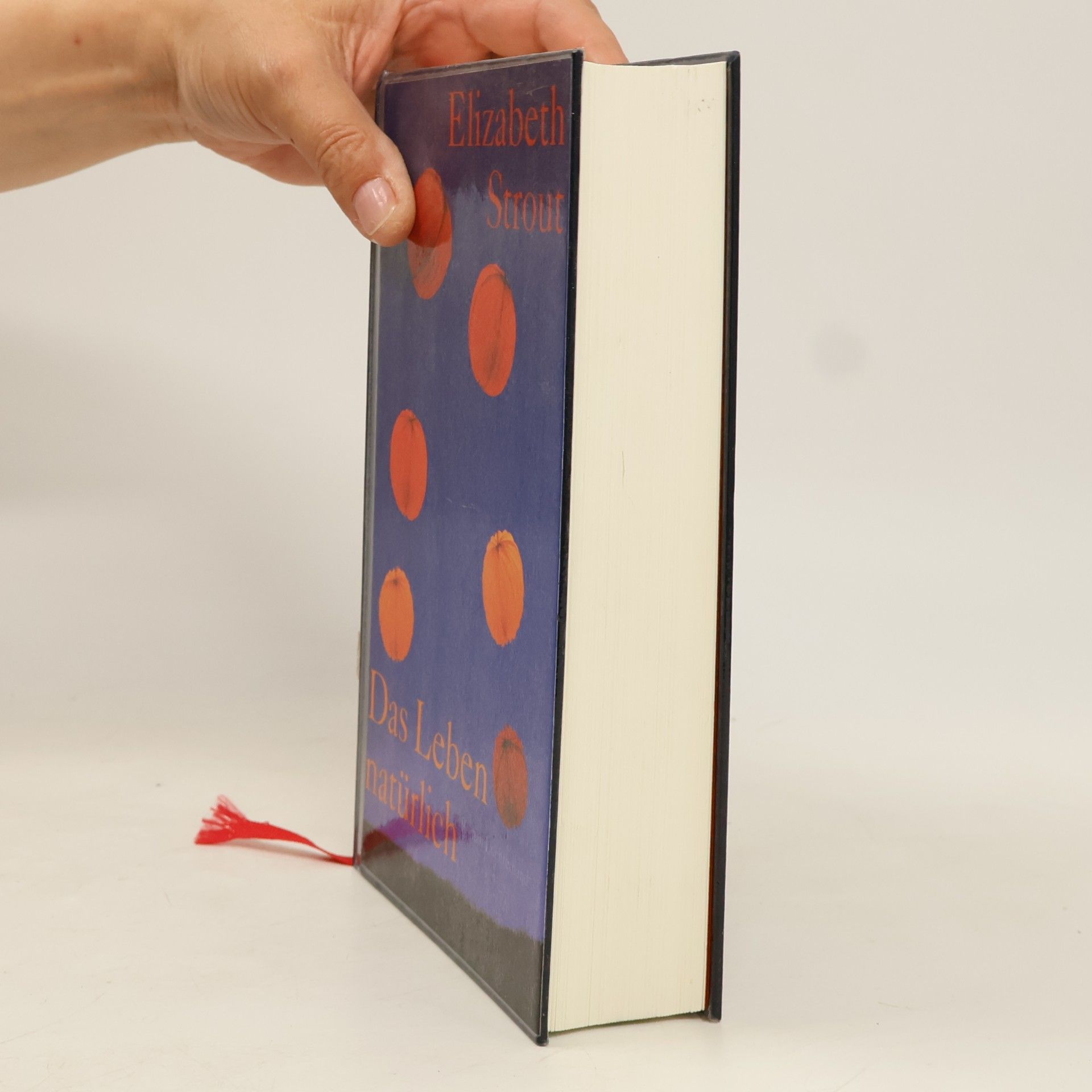 Elizabeth Strout Das Leben, natürlich