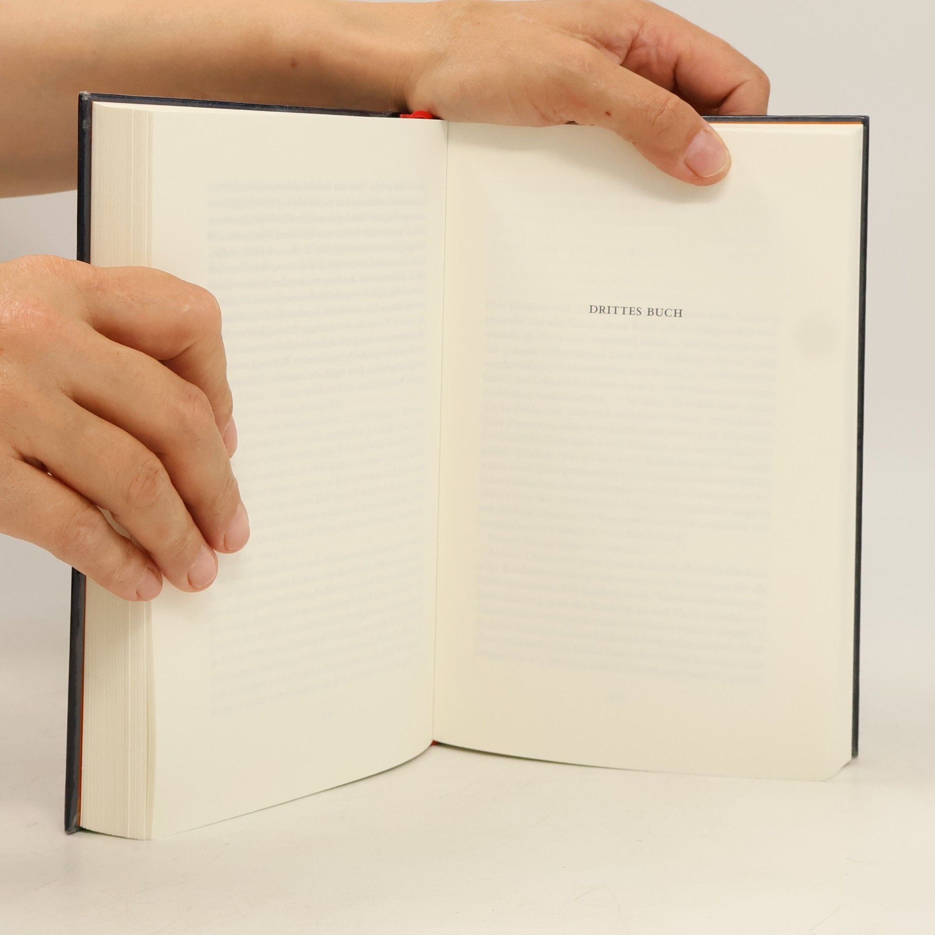 Elizabeth Strout Das Leben, natürlich