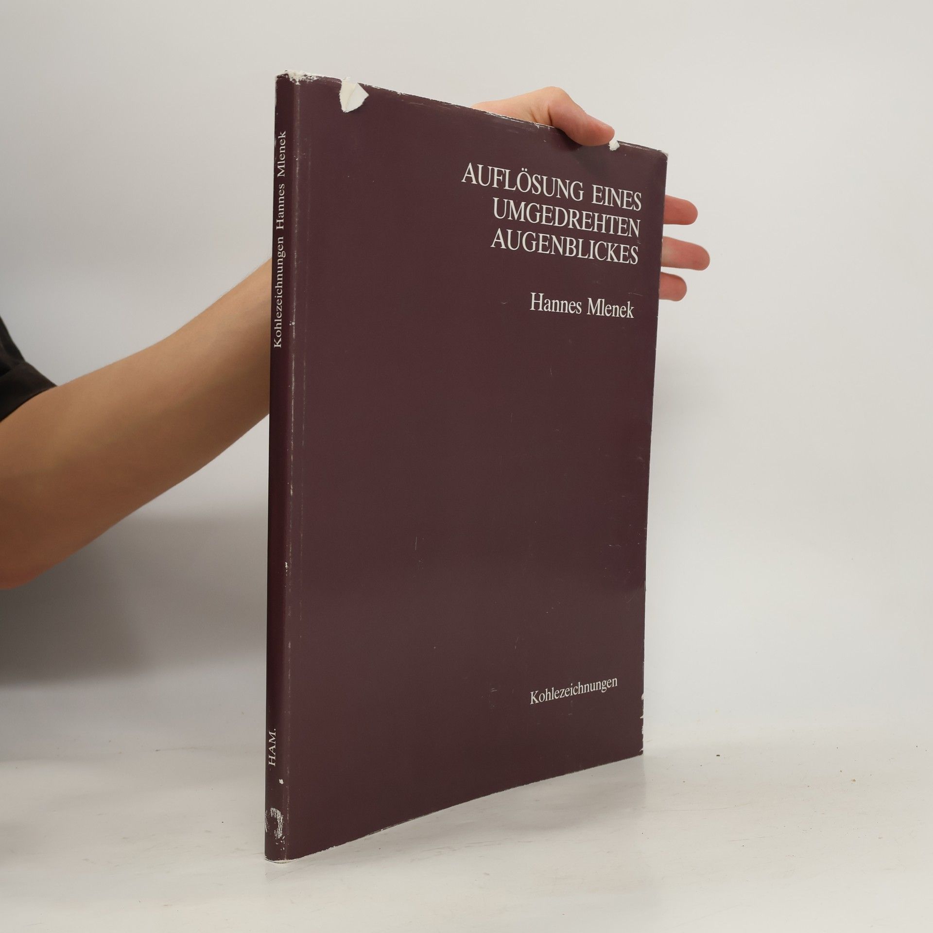 Auflösung eines Umgedrehten Augenblickes
