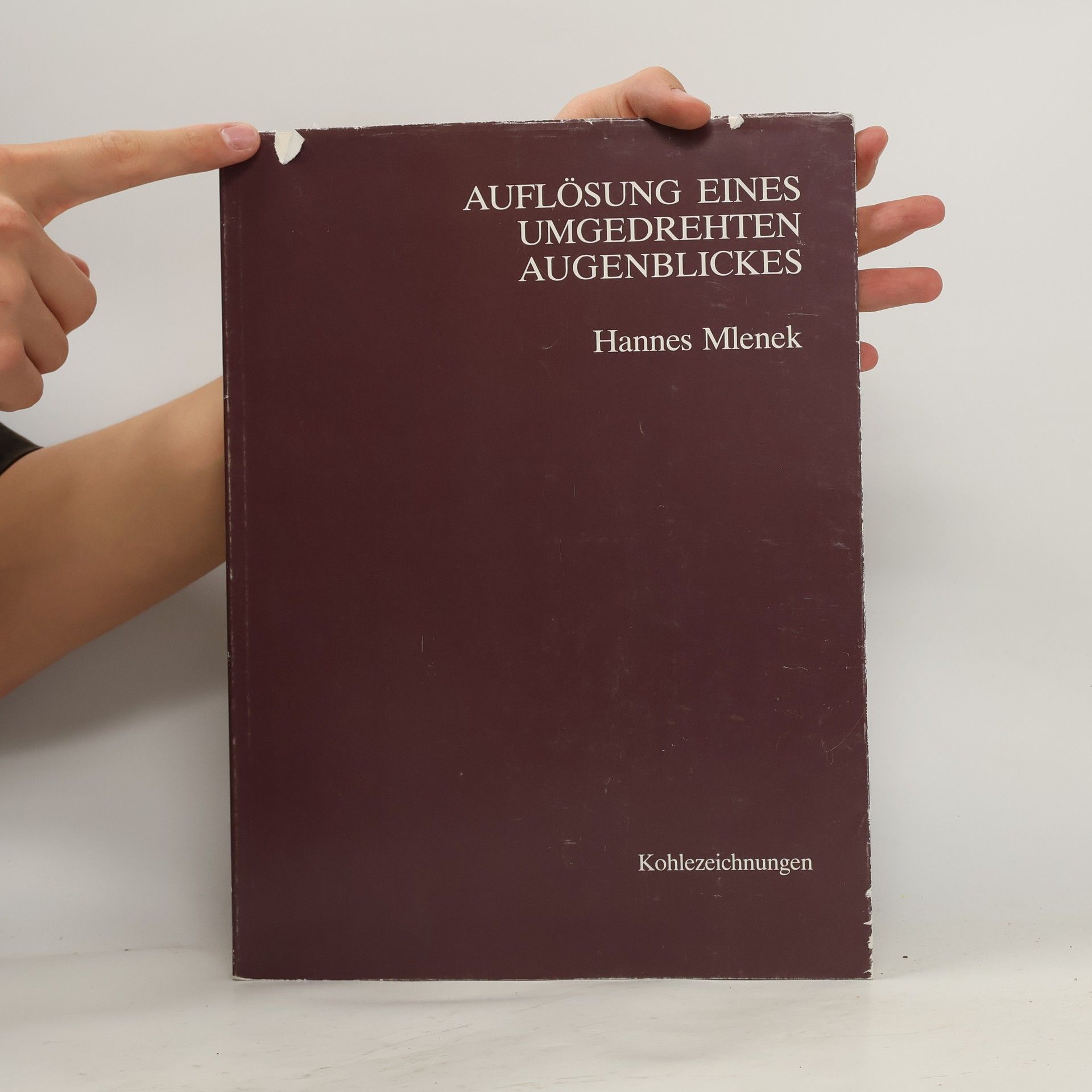 Hannes Mlenek Auflösung eines Umgedrehten Augenblickes