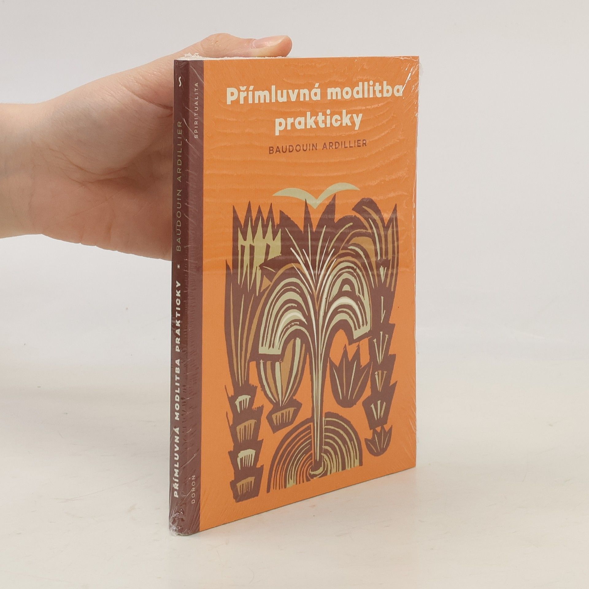 Ardillier Baudouin Přímluvná modlitba prakticky