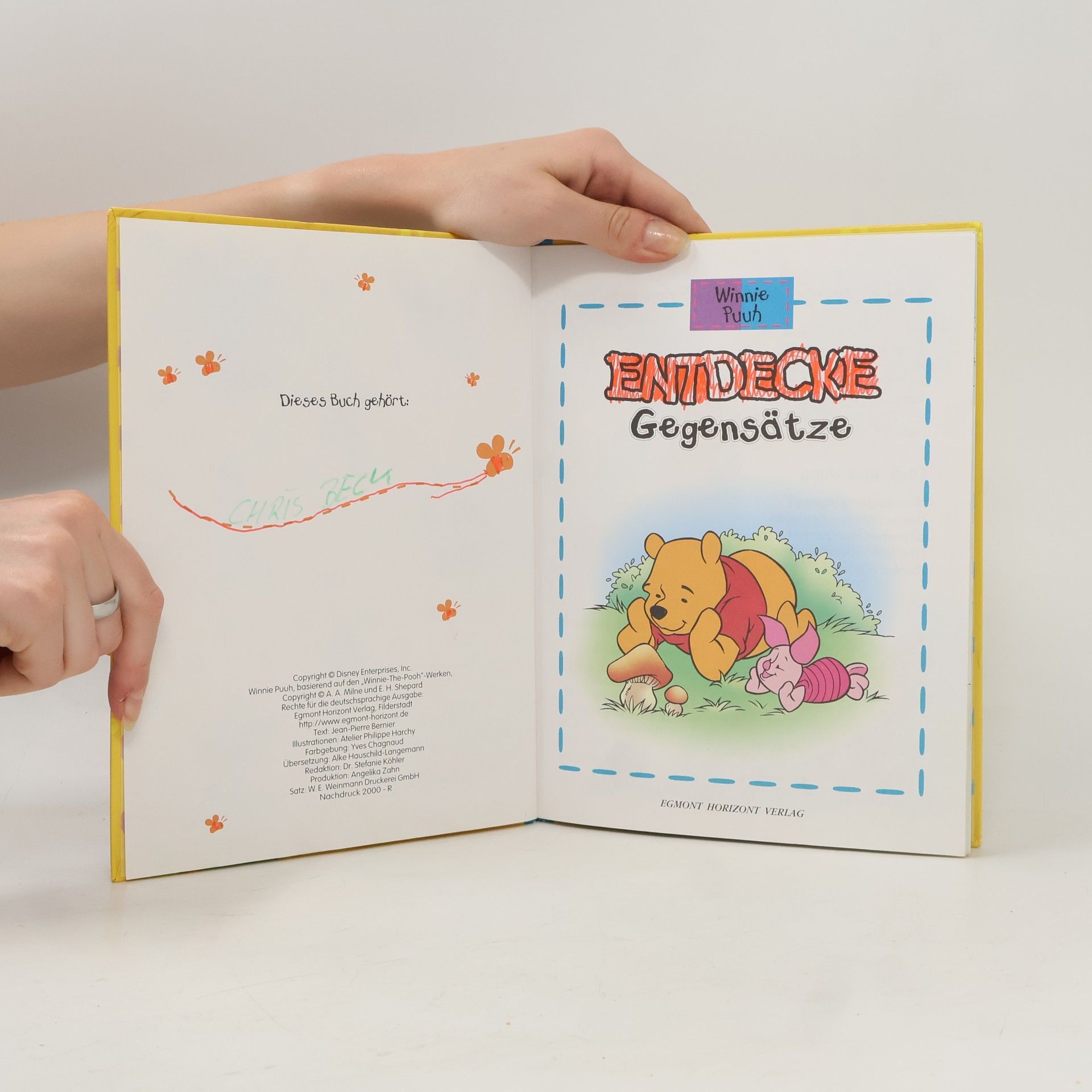 Jean-Pierre Bernier Winnie Puuh: Entdecke Gegensätze. Großer Honigtopf