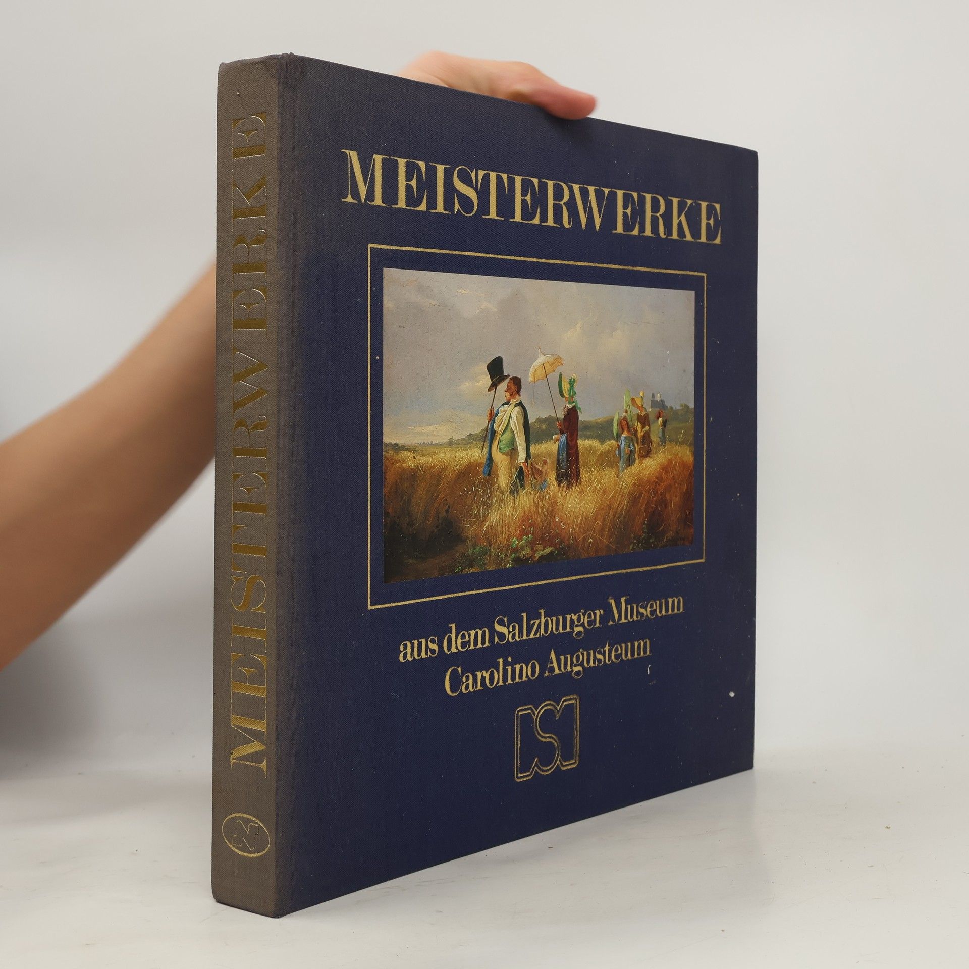 Autorenkollektiv Meisterwerke aus dem Salzburger Museum Carolino Augusteum