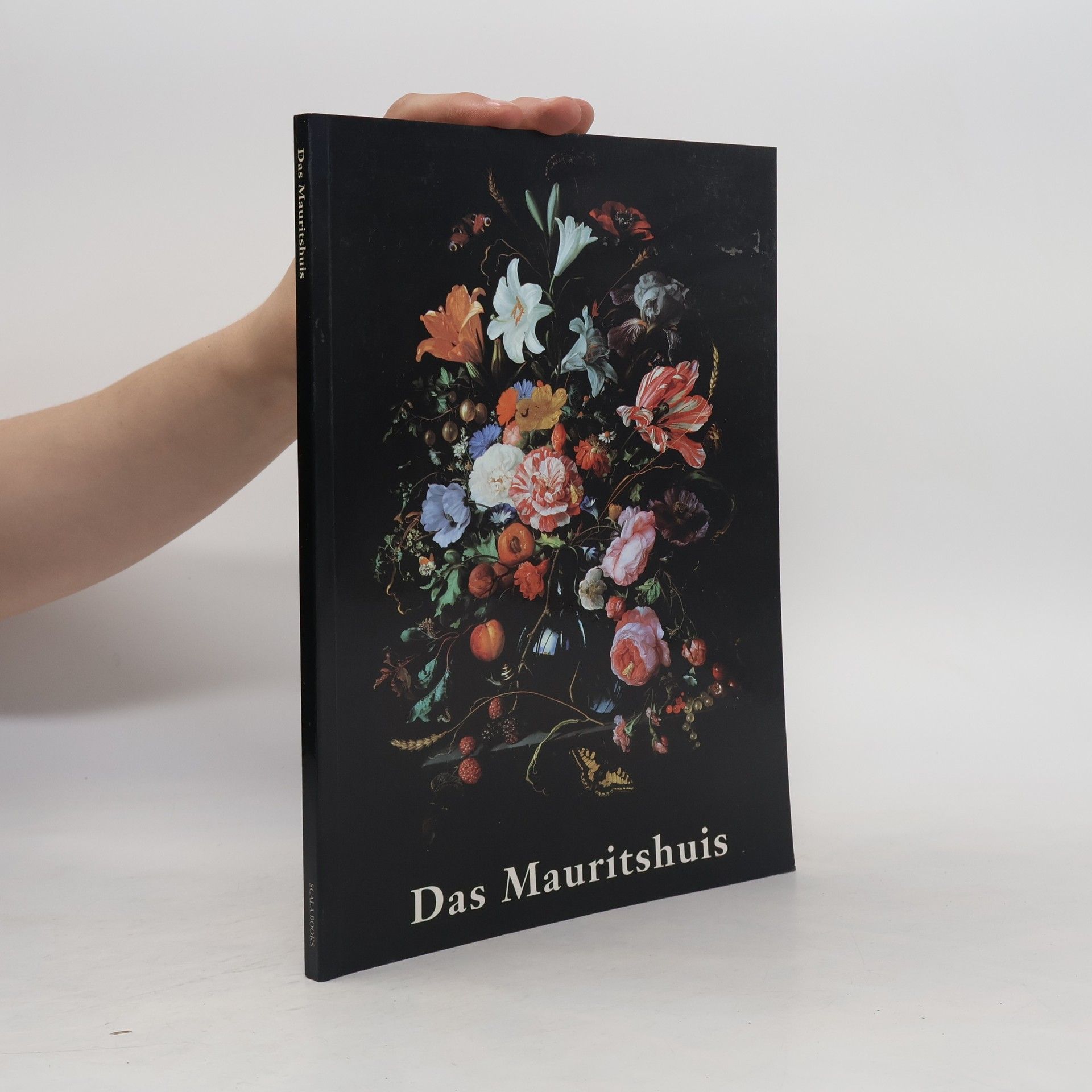Ben Broos Das Mauritshuis