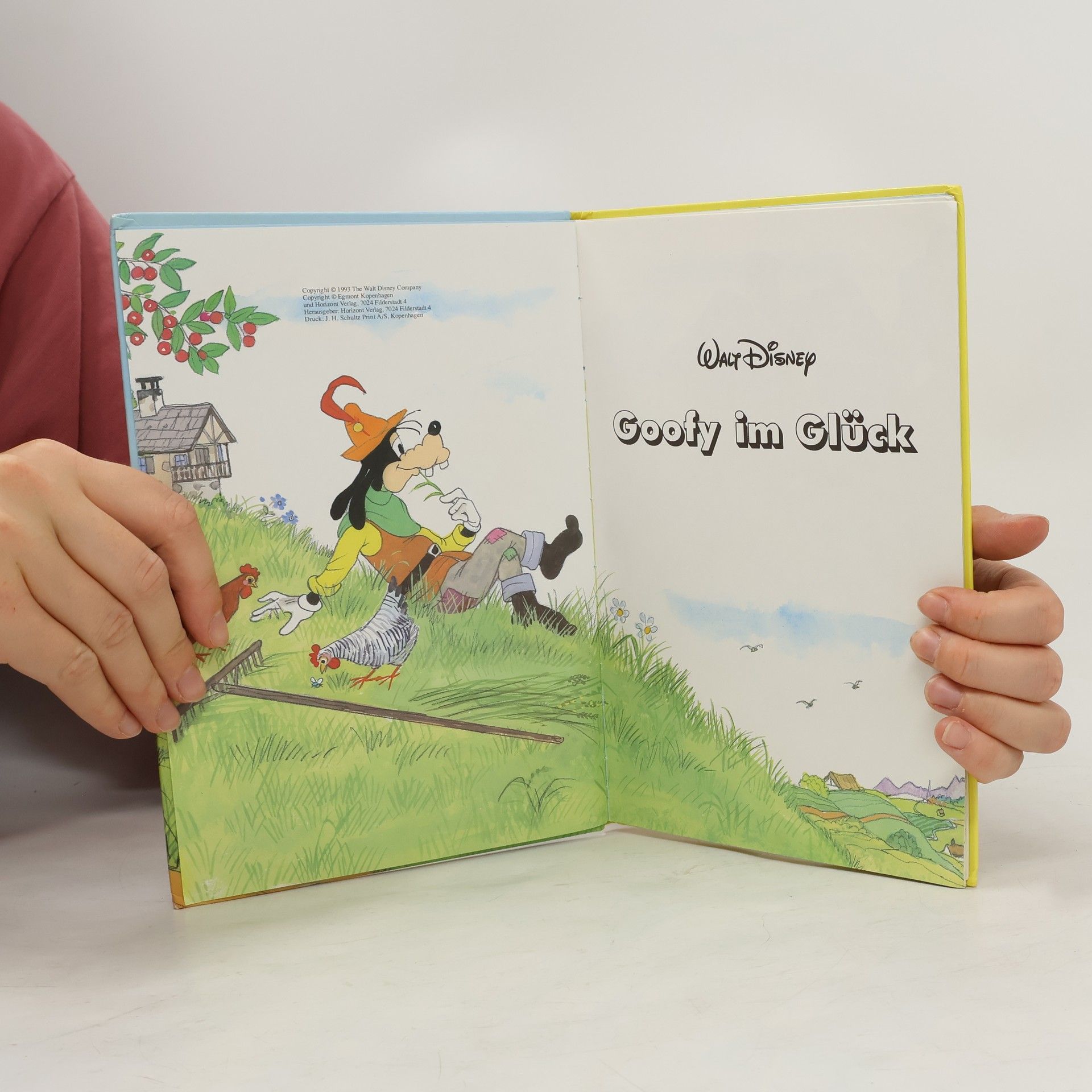 Walt Disney Goofy im Glück
