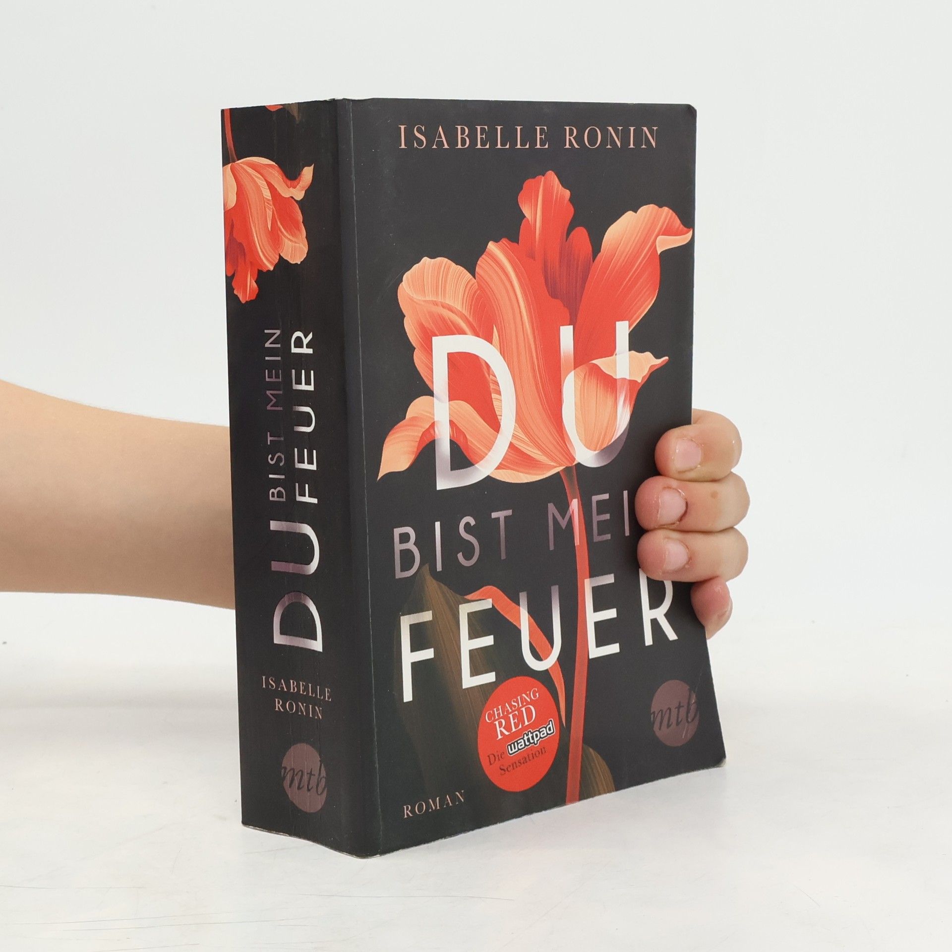 Isabelle Ronin Du bist mein Feuer