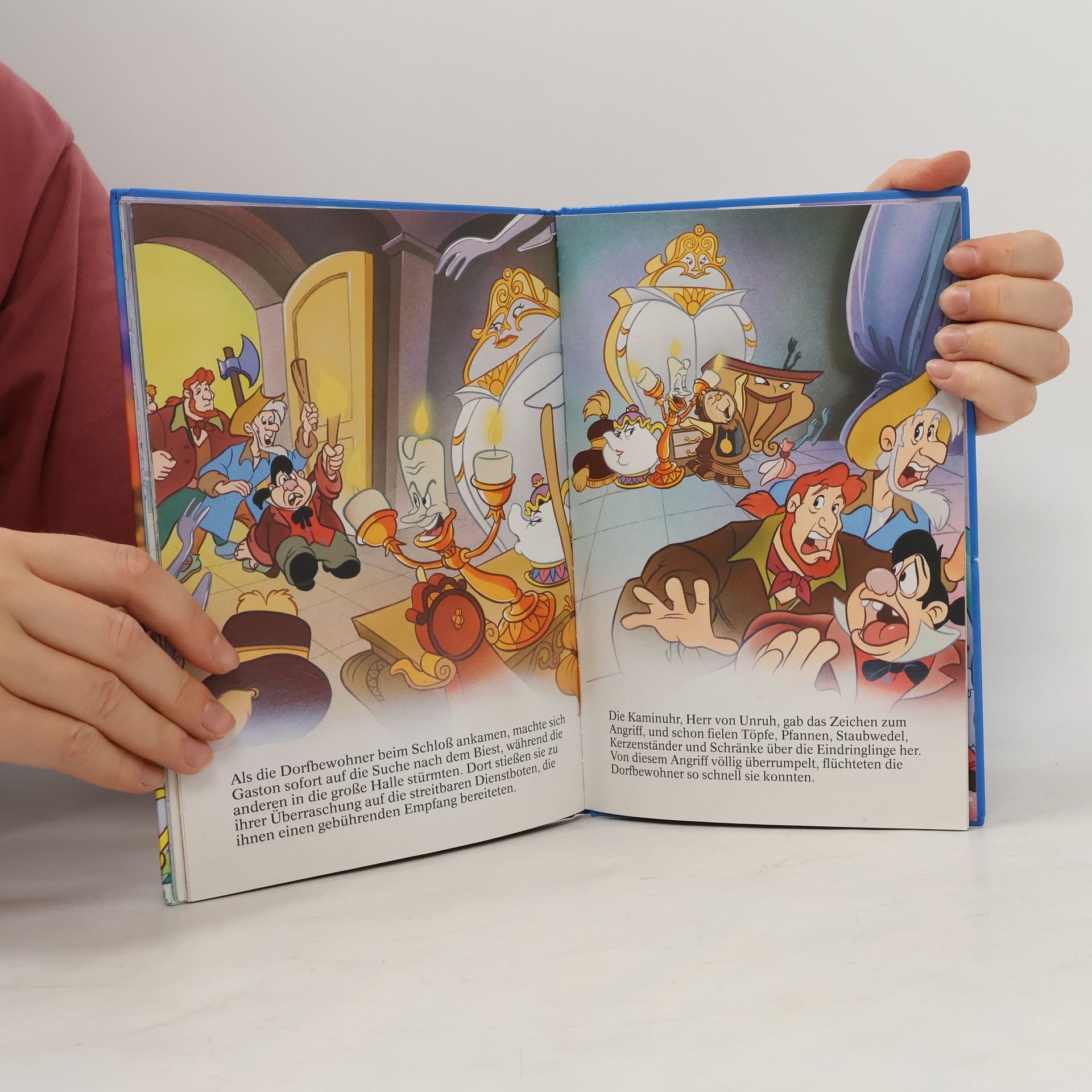 Autorenkollektiv Die Schöne und das Biest