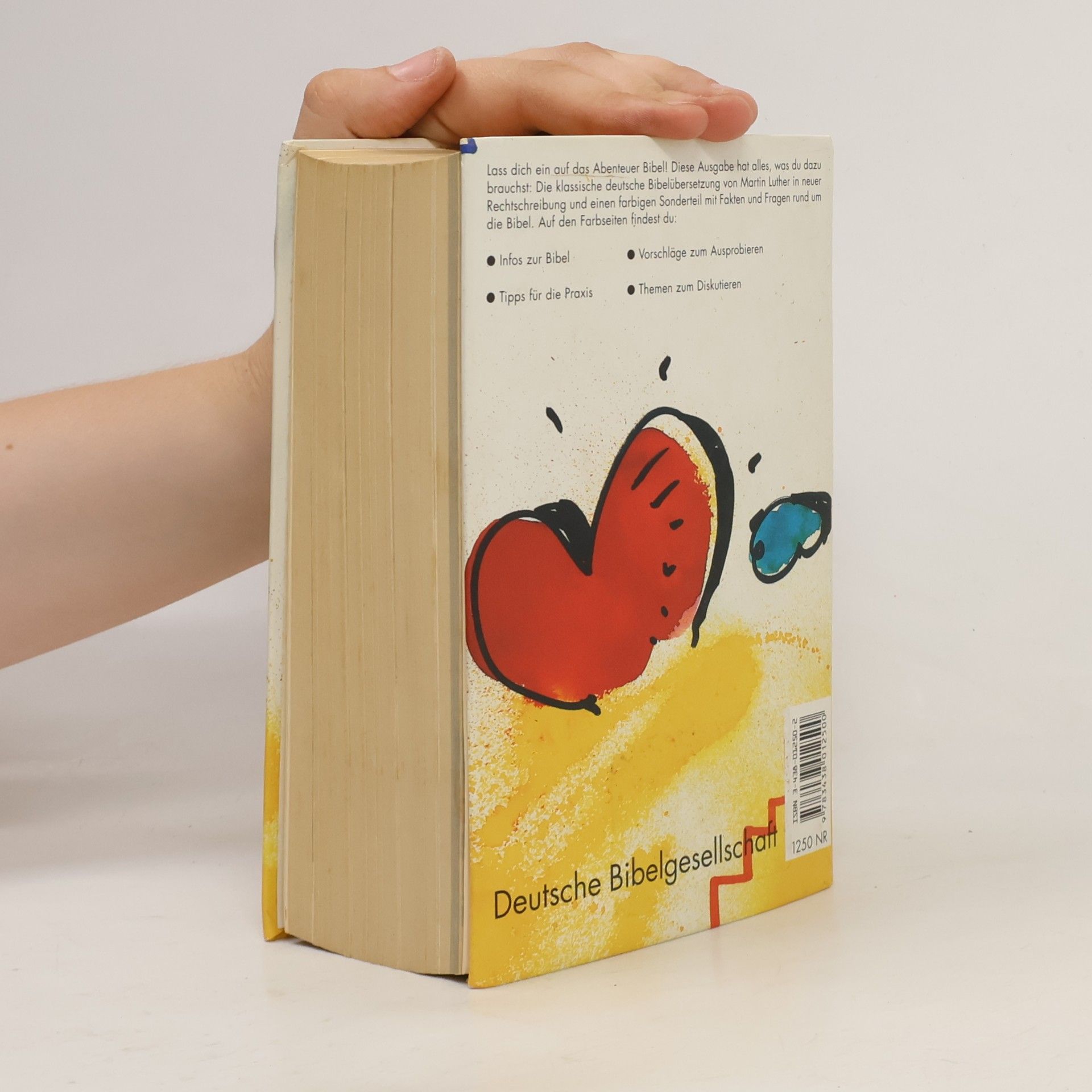 Autorenkollektiv Luther-Bibel für dich