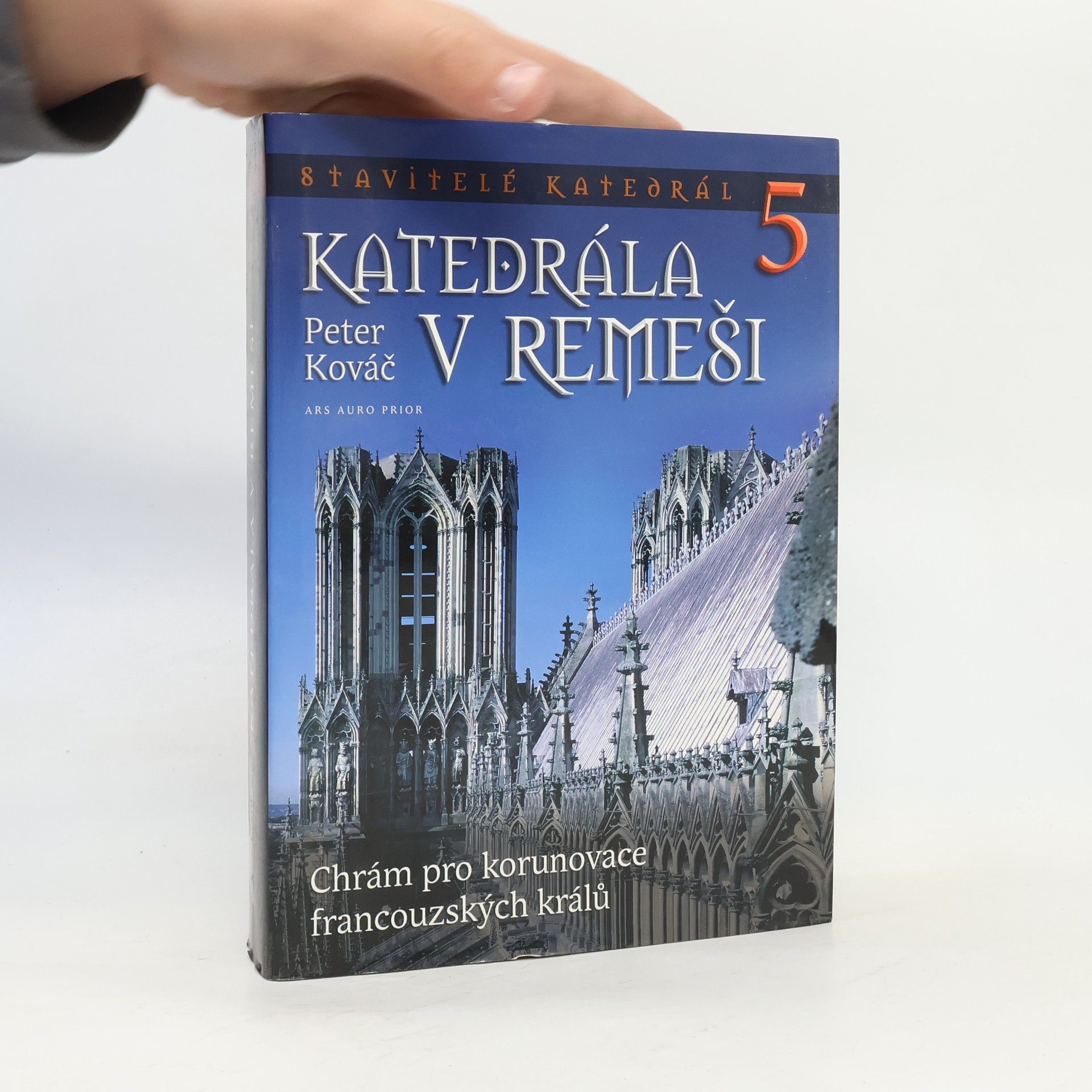 Peter Kováč Katedrála v Remeši