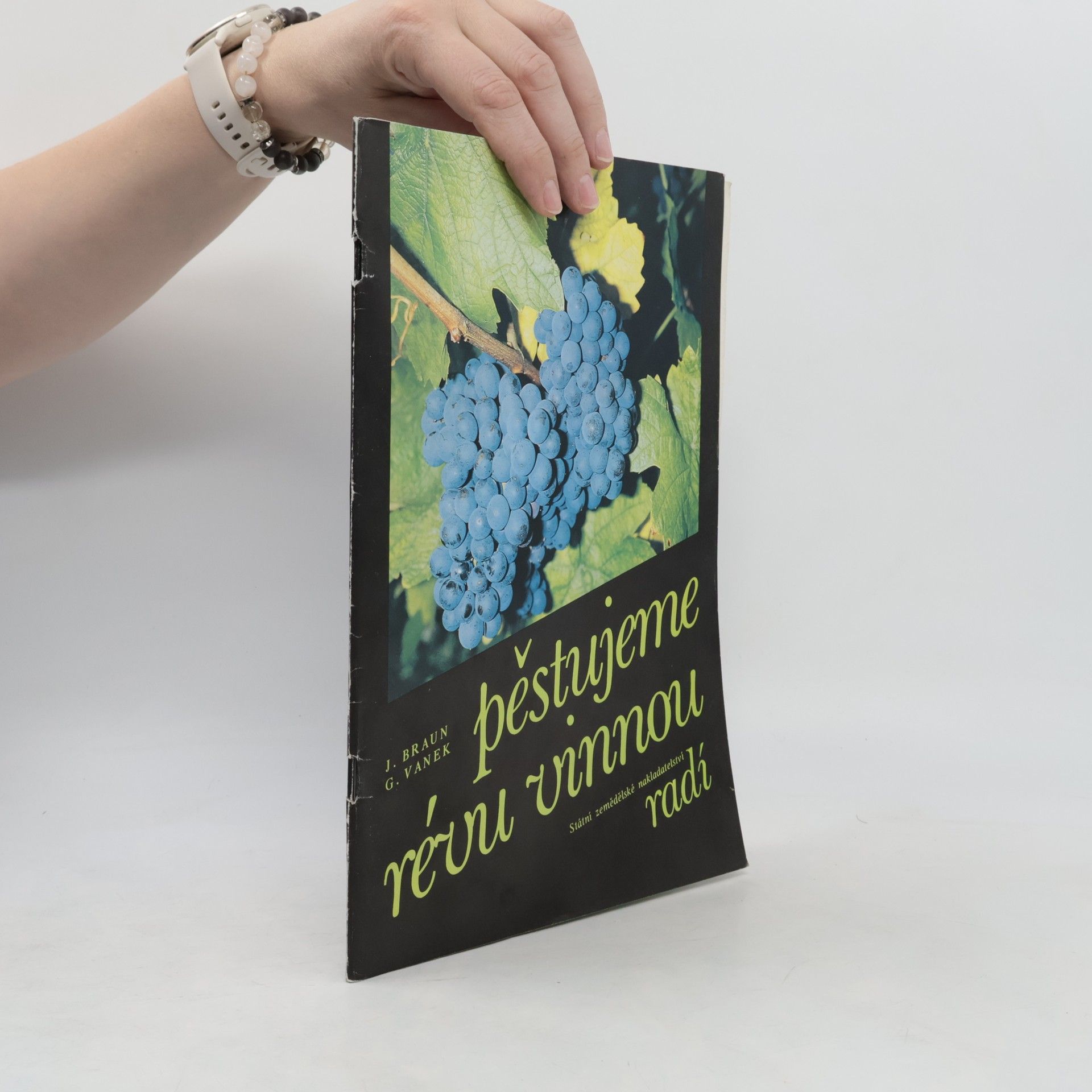 Autorenkollektiv Pěstujeme révu vinnou