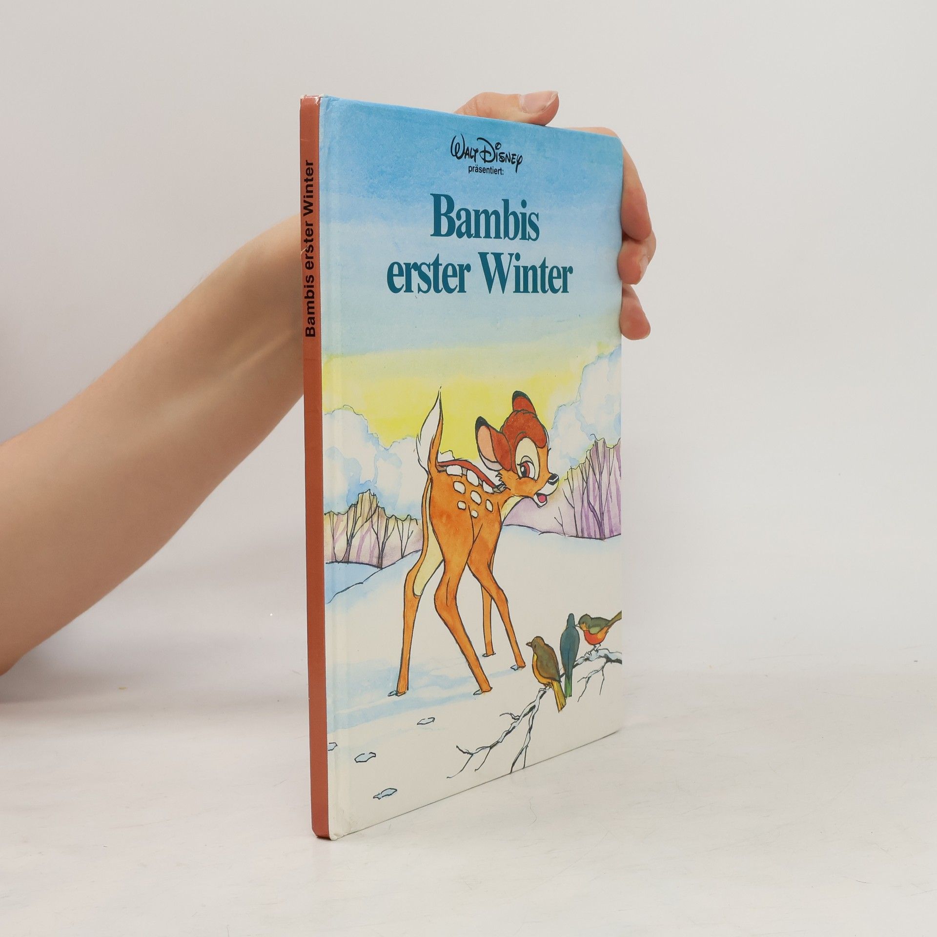 Autorenkollektiv Bambis erster Winter