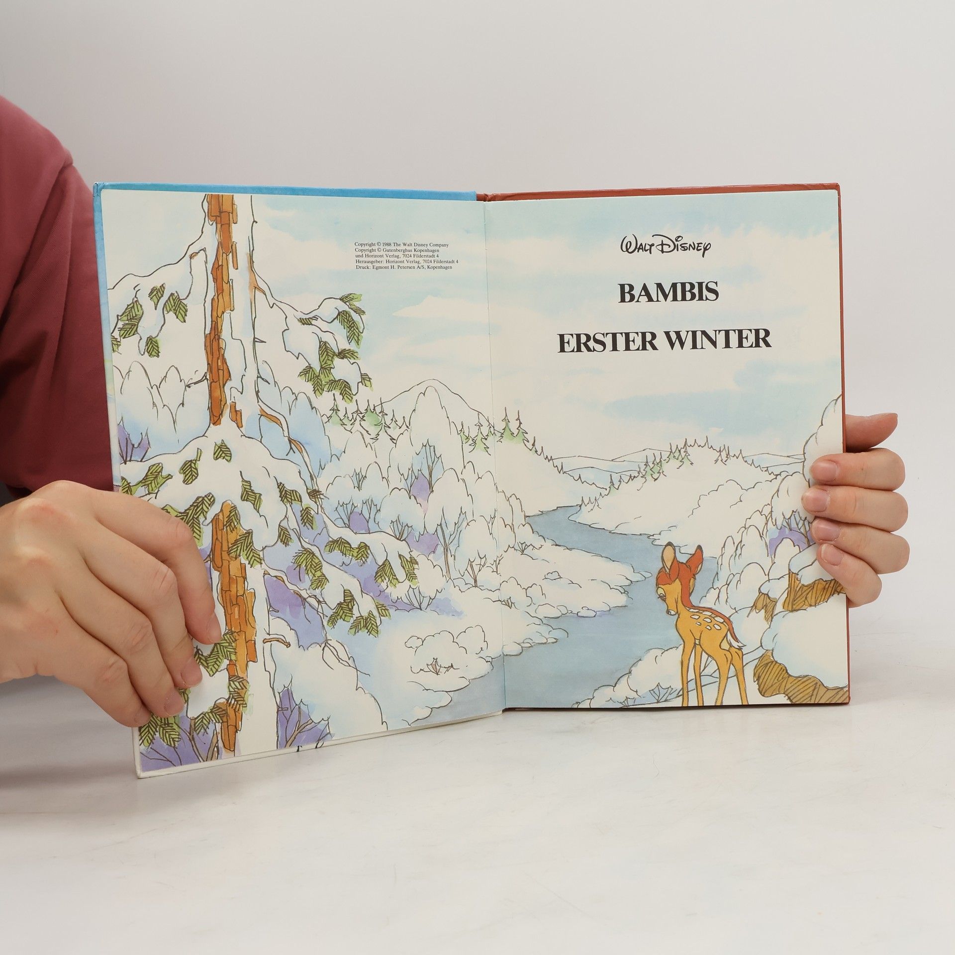 Autorenkollektiv Bambis erster Winter