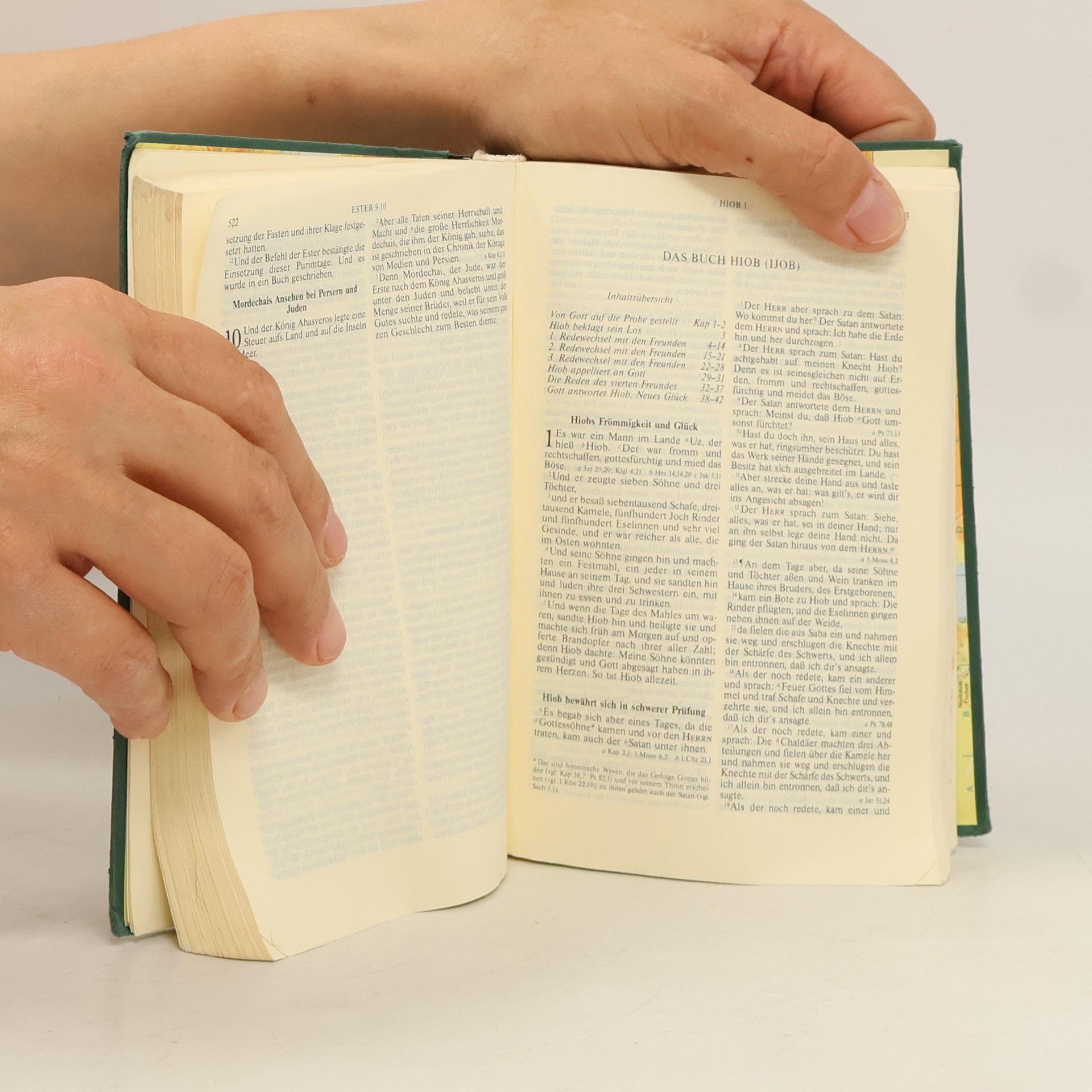 Martin Luther Die Bibel