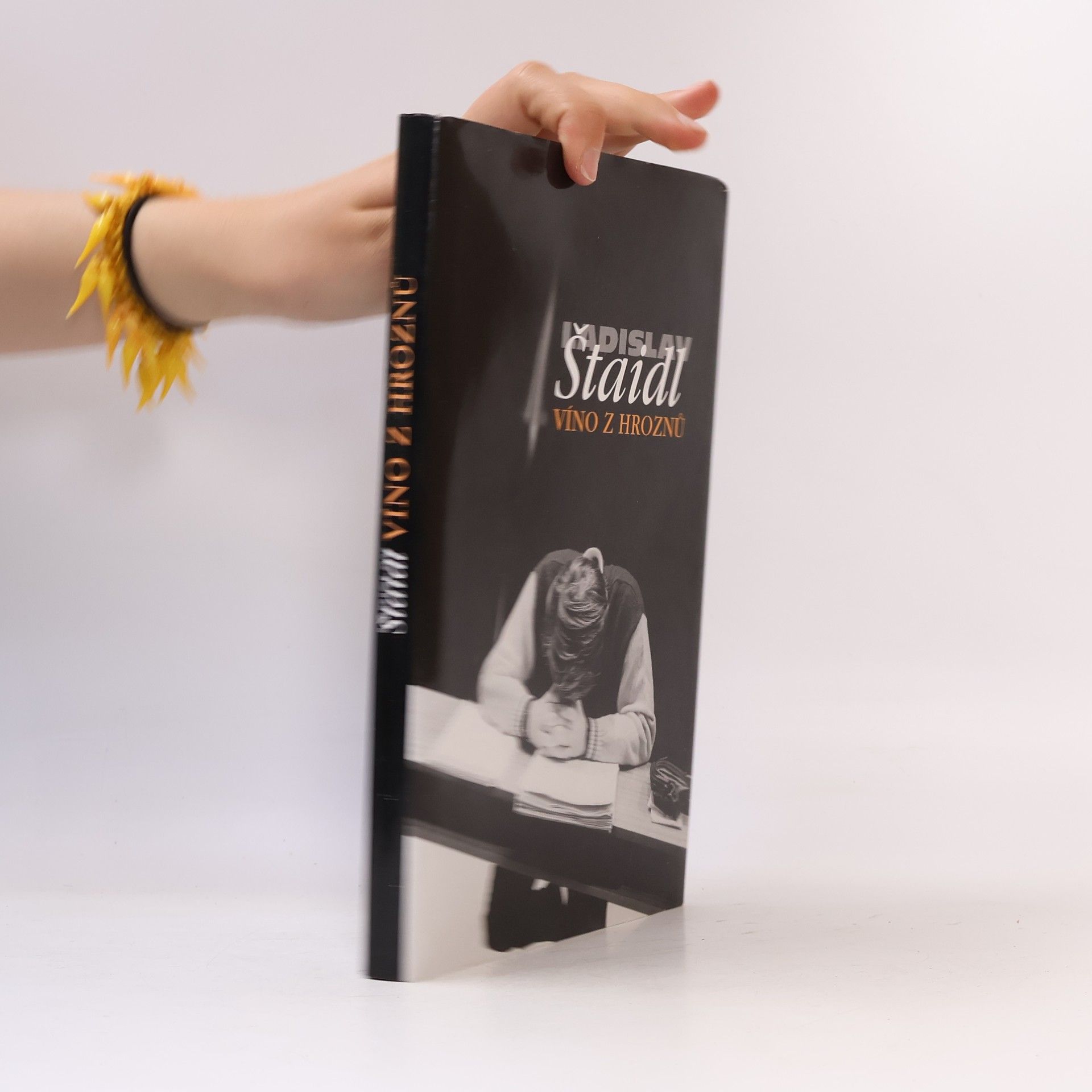 Ladislav Štaidl Víno z hroznů