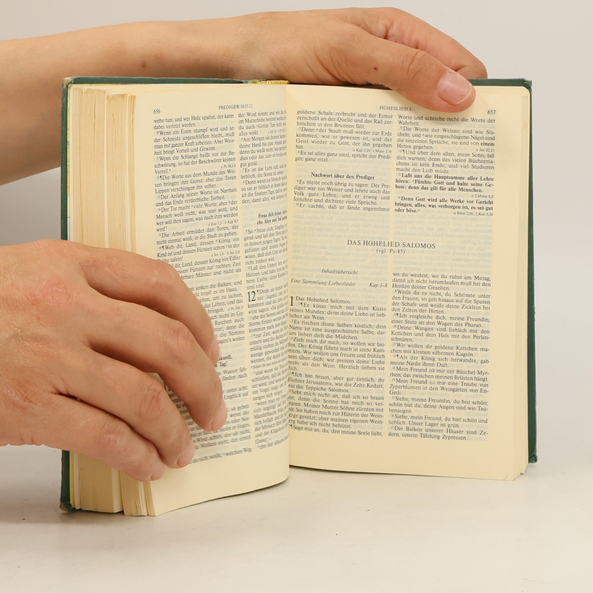 Martin Luther Die Bibel
