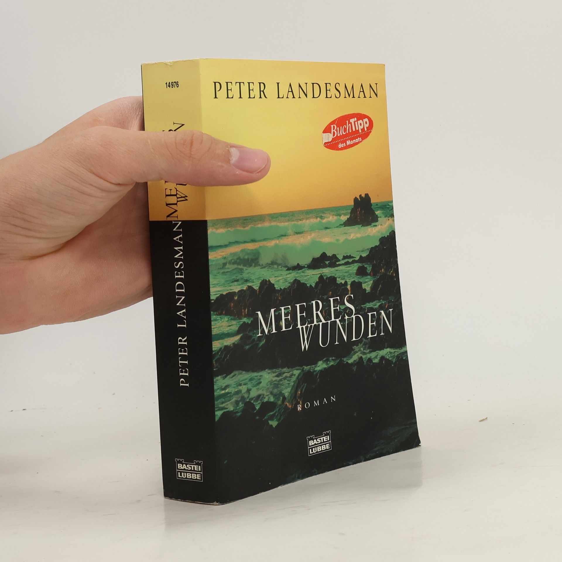 Peter Landesmann Meereswunden