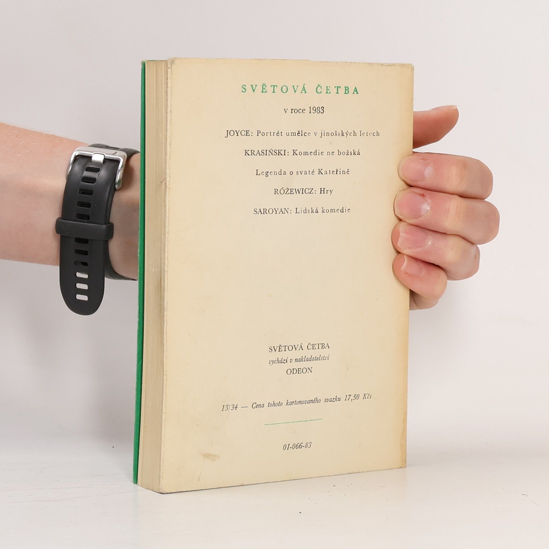 James Joyce Portrét umělce v jinošských letech