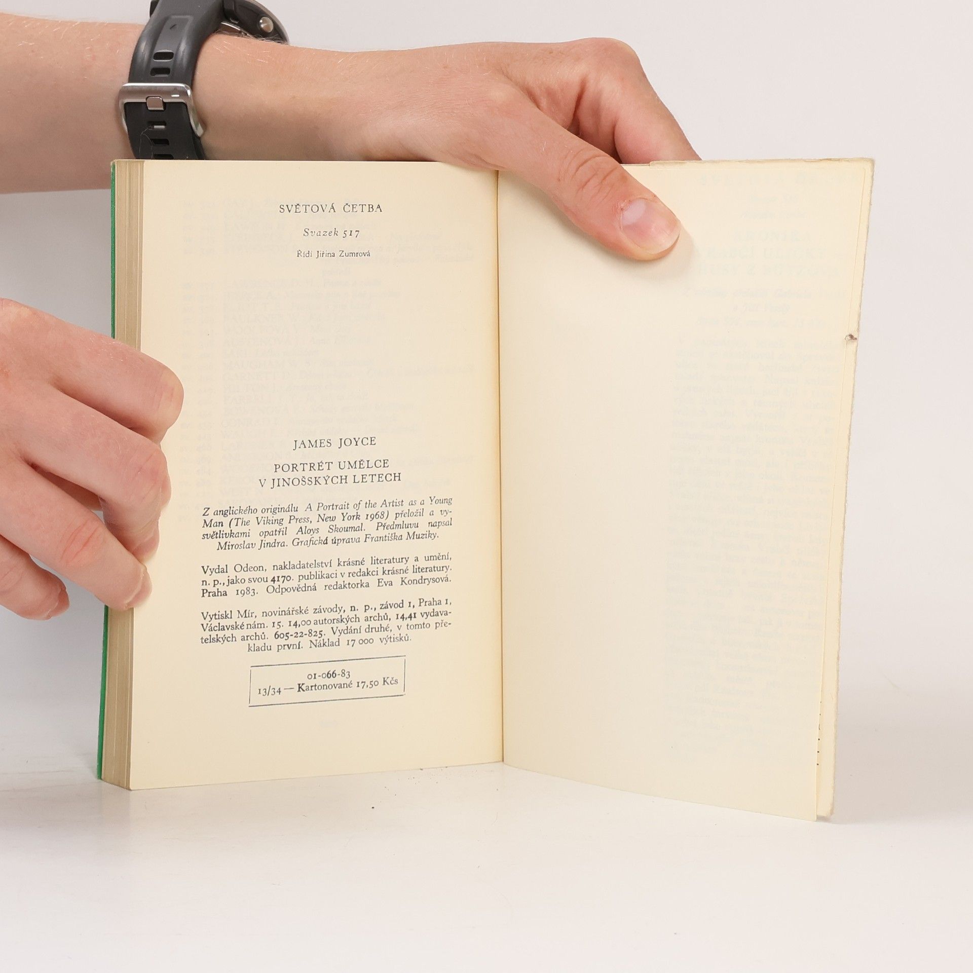 James Joyce Portrét umělce v jinošských letech
