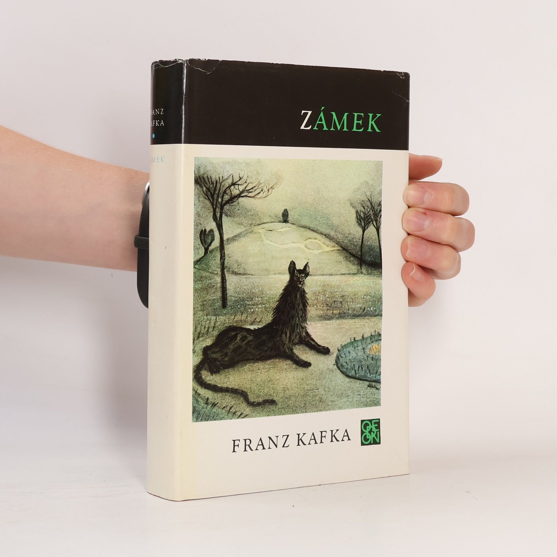 Franz Kafka Zámek