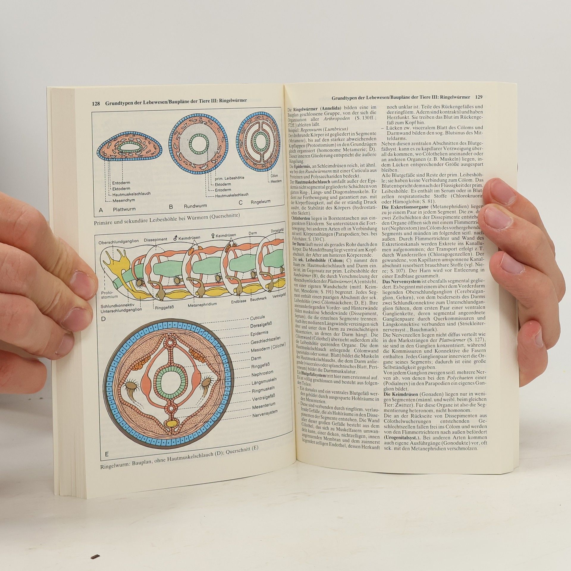 Günter Vogel Taschenatlas der Biologie