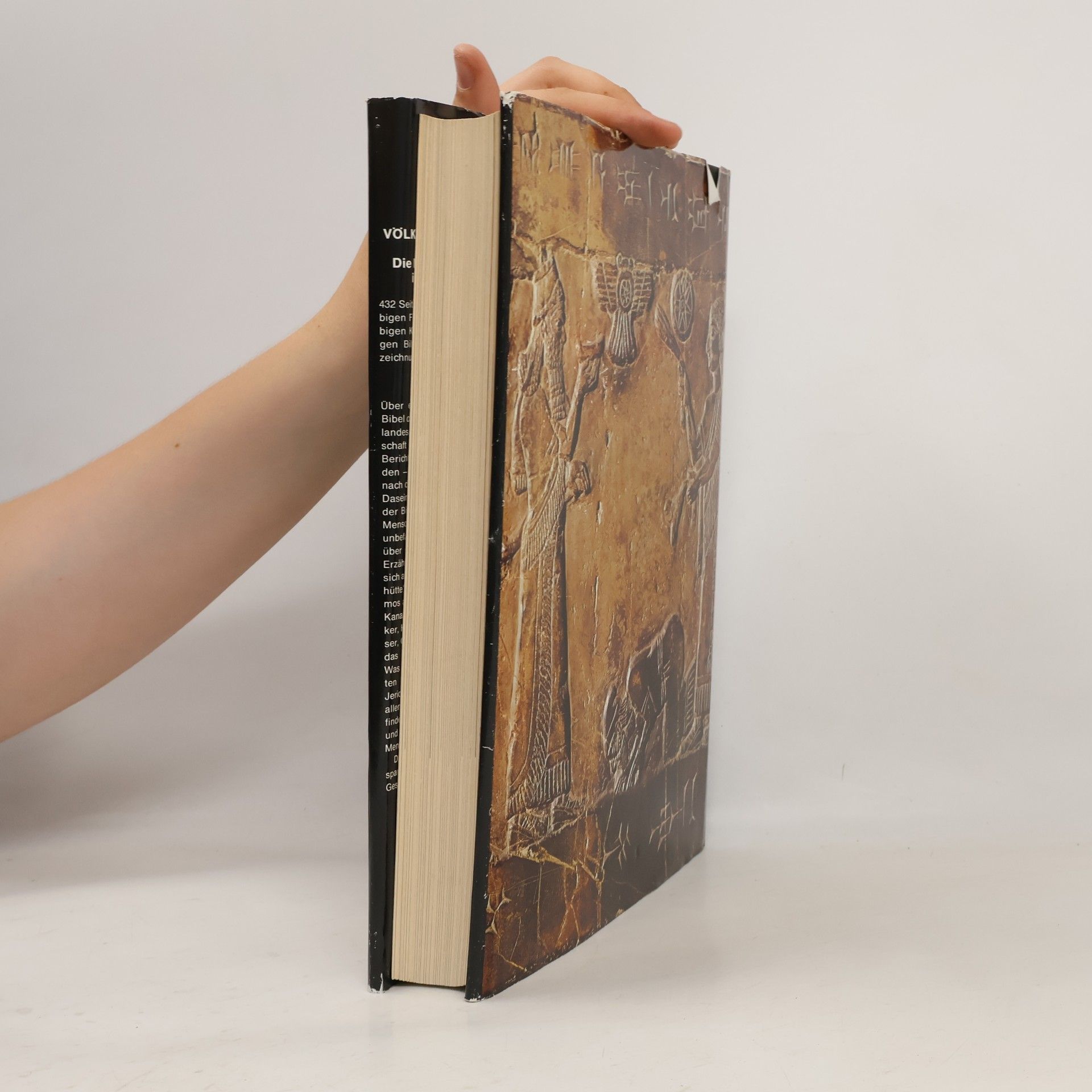 Kolektiv autorů Völker, Herrscher und Propheten : die Menschen der Bibel - ihr Leben, ihre Zeit