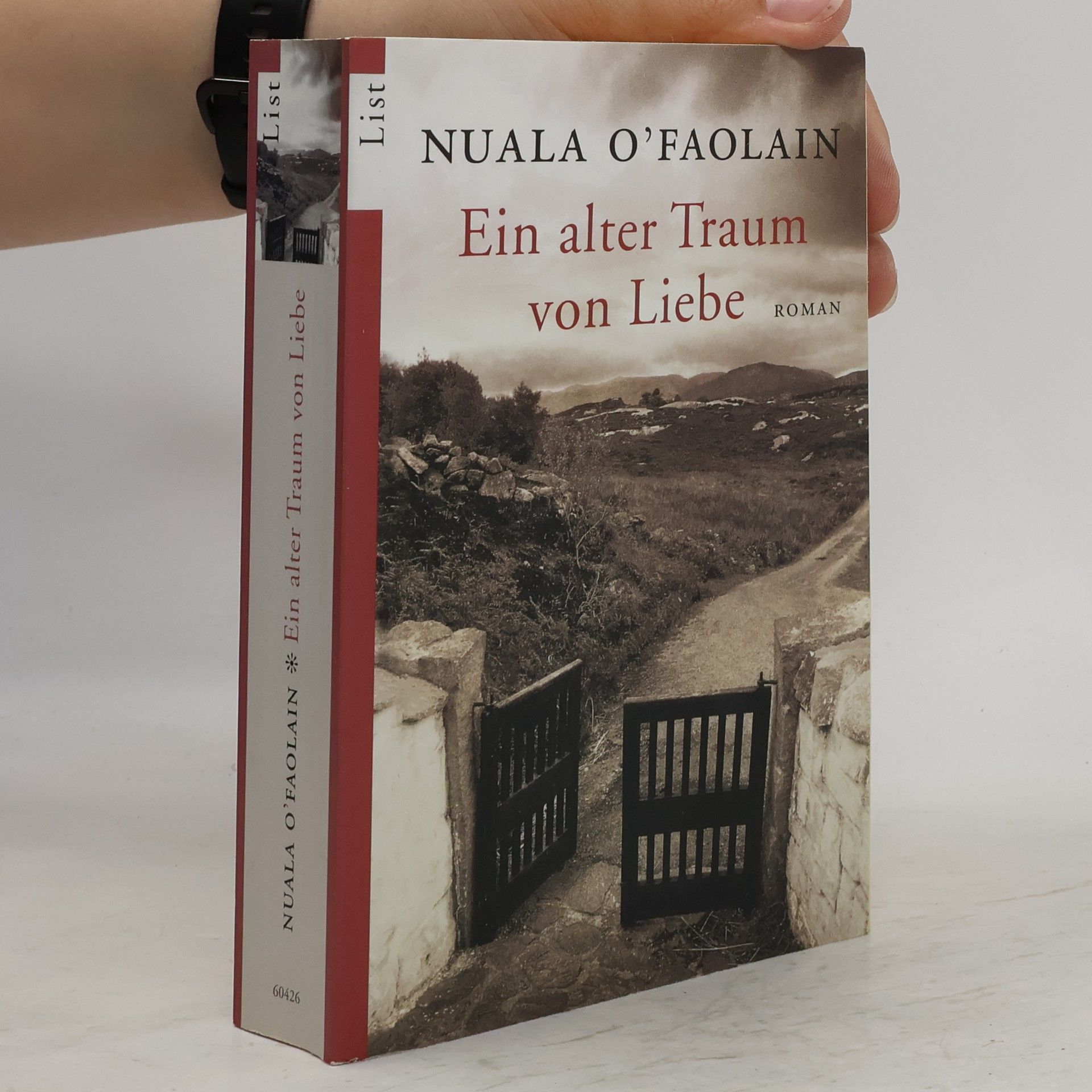 Nuala O. Faolain Ein alter Traum von Liebe