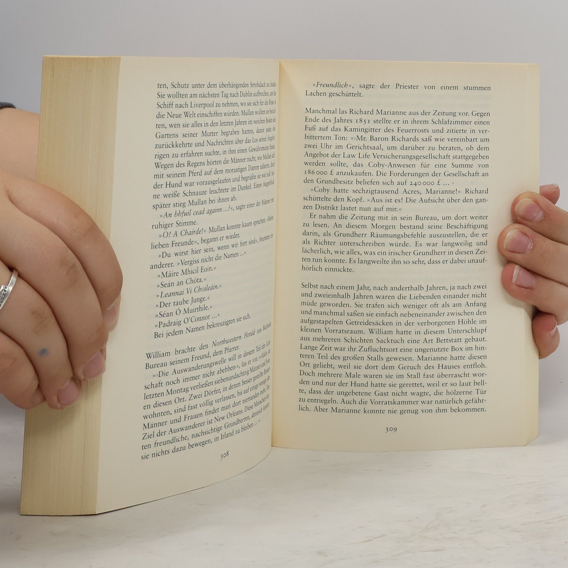 Nuala O. Faolain Ein alter Traum von Liebe