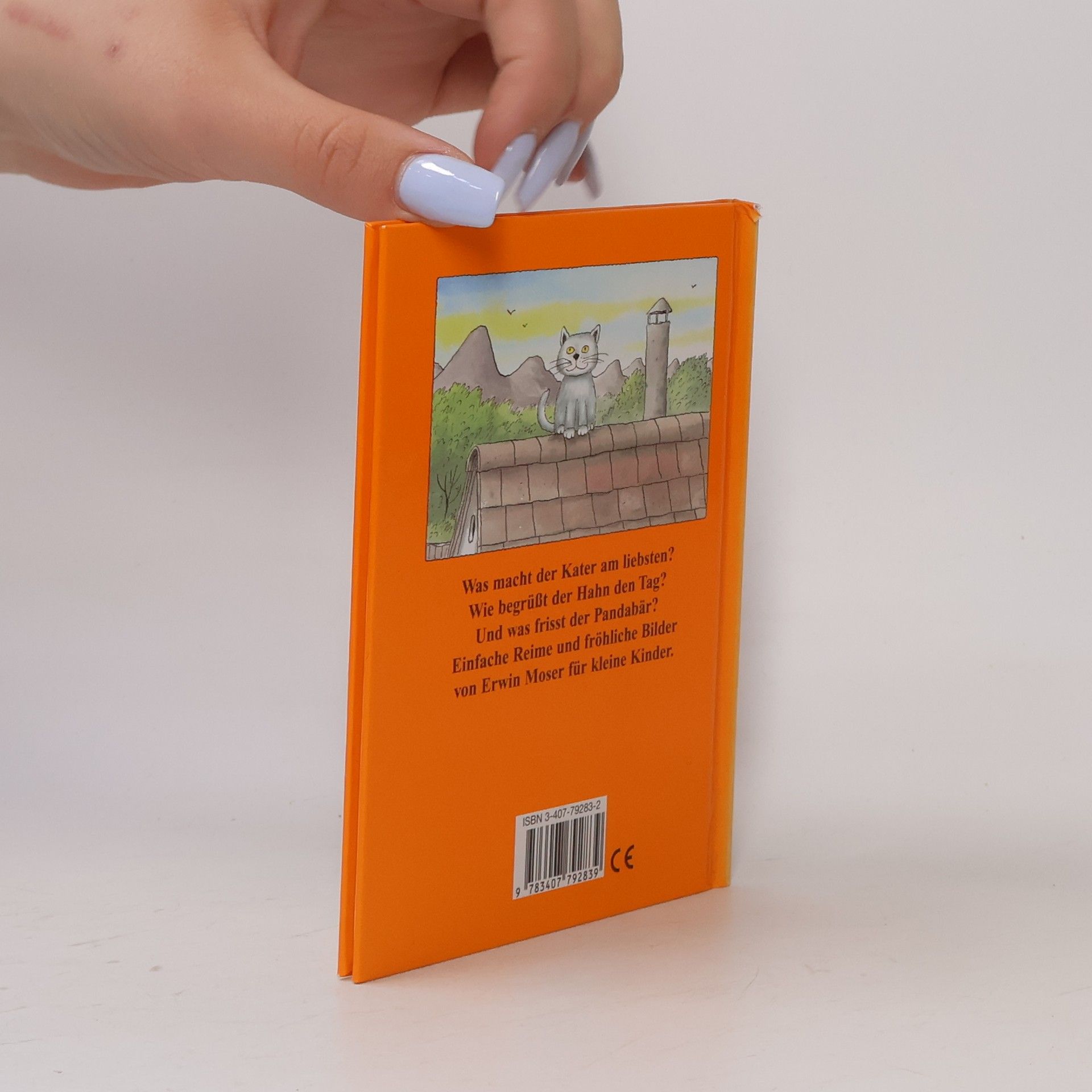 Erwin Moser Guten Morgen, Herr Kater!: vierfarbiges Mini-Bilderbuch