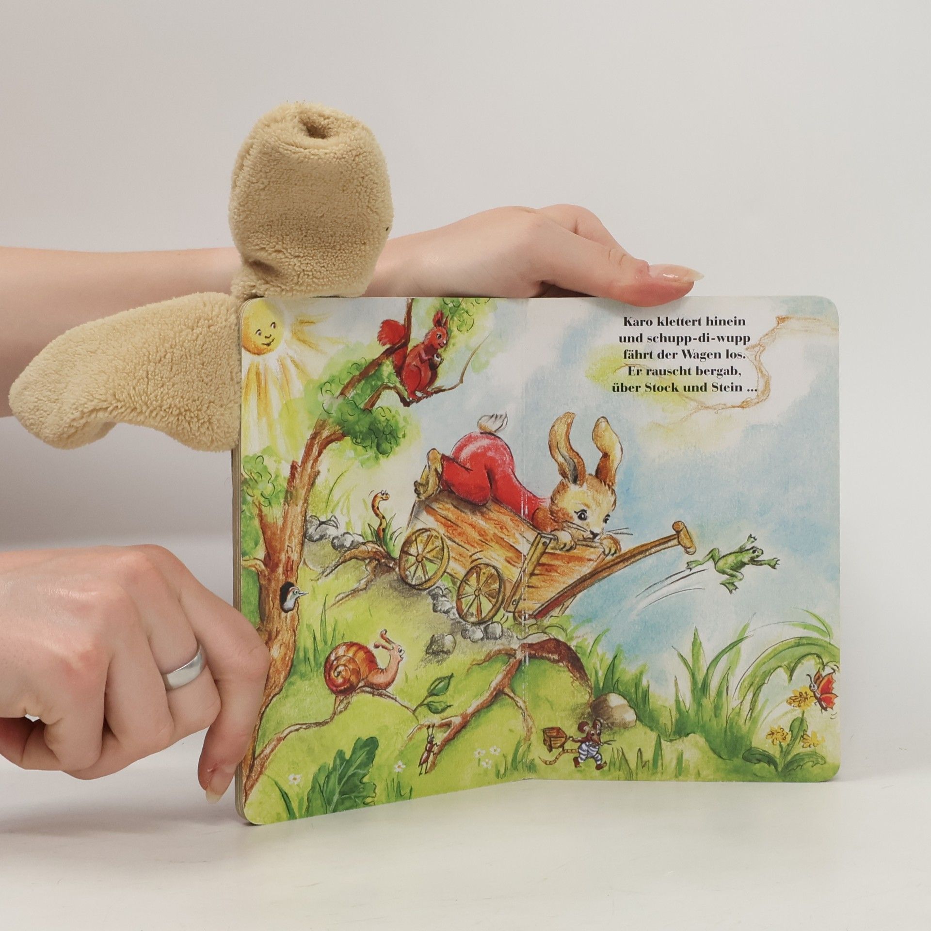 Sandra Zinke Sehen & Entdecken: Karo Zappelohr der kleine Hase