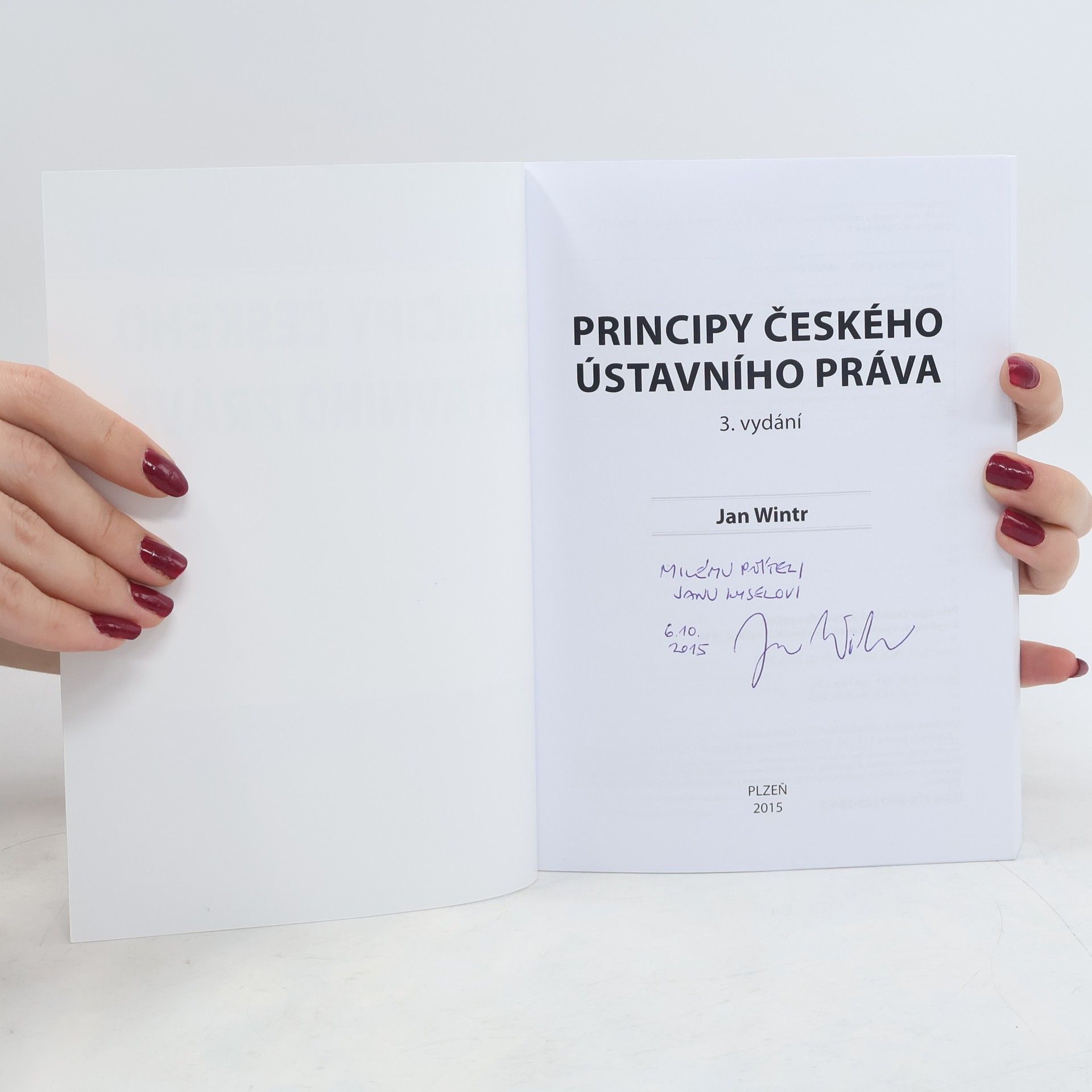 Jan Wintr Principy českého ústavního práva
