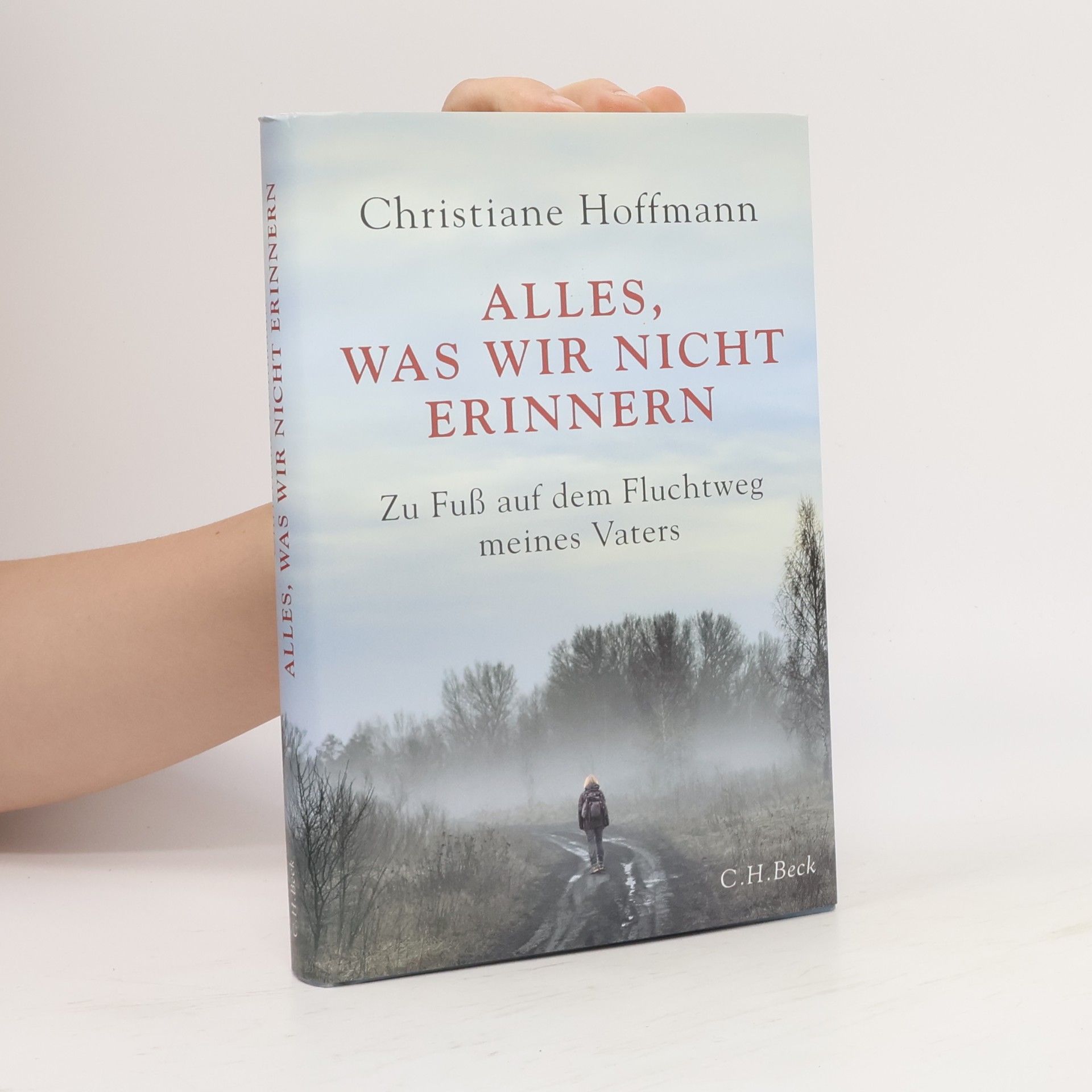 Christiane Hoffmann Alles, was wir nicht erinnern