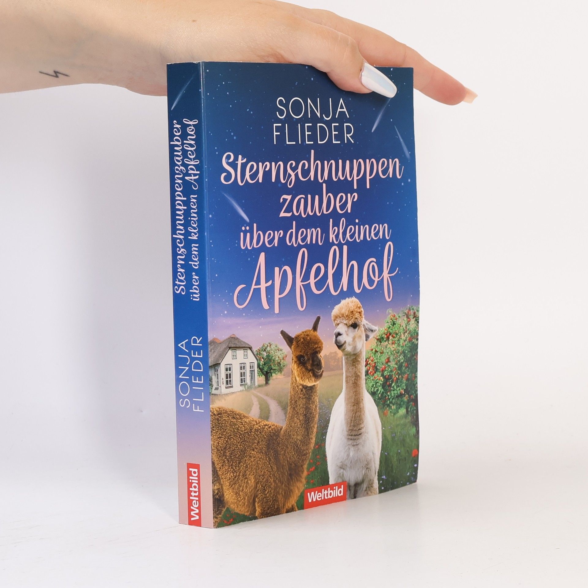 Sternschnuppenzauber über dem kleinen Apfelhof