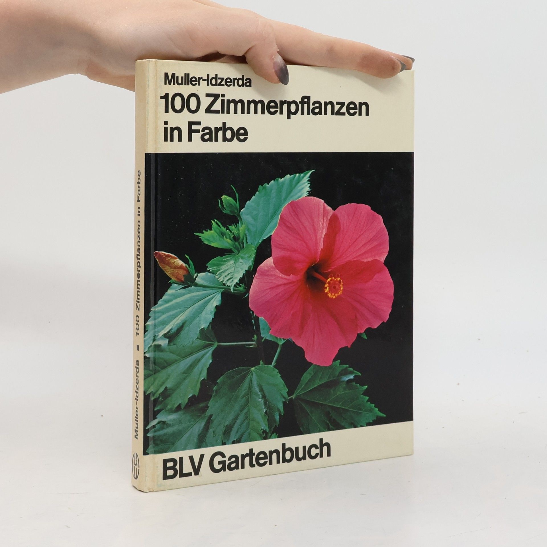 Anna Catharina Müller-Idzerda 100 Zimmerpflanzen in Farbe