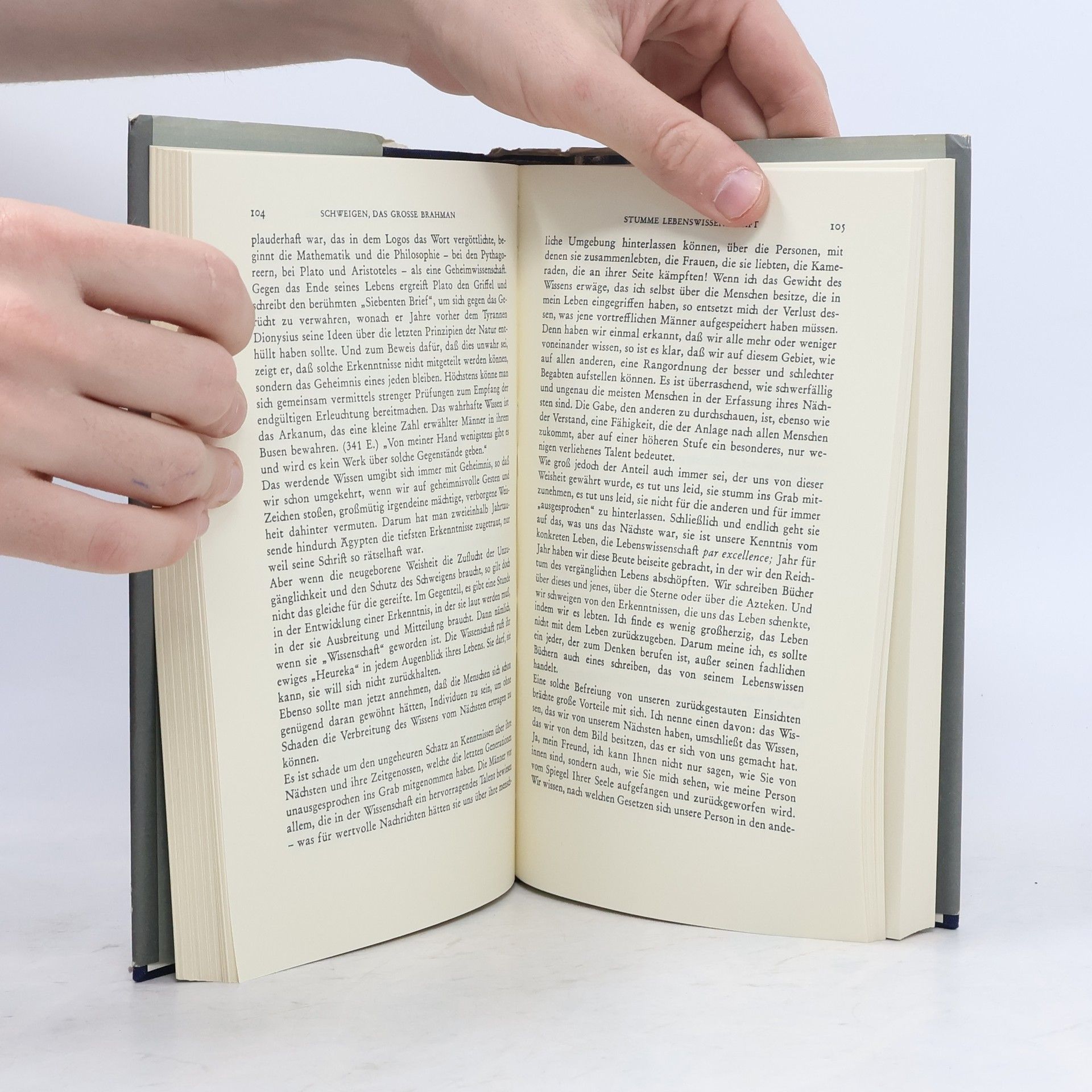José Ortega y Gasset Triumph des Augenblicks, Glanz der Dauer