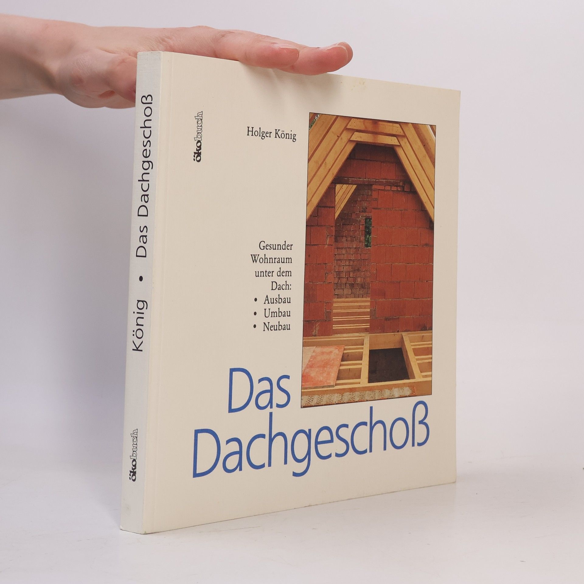 Holger König Das Dachgeschoss