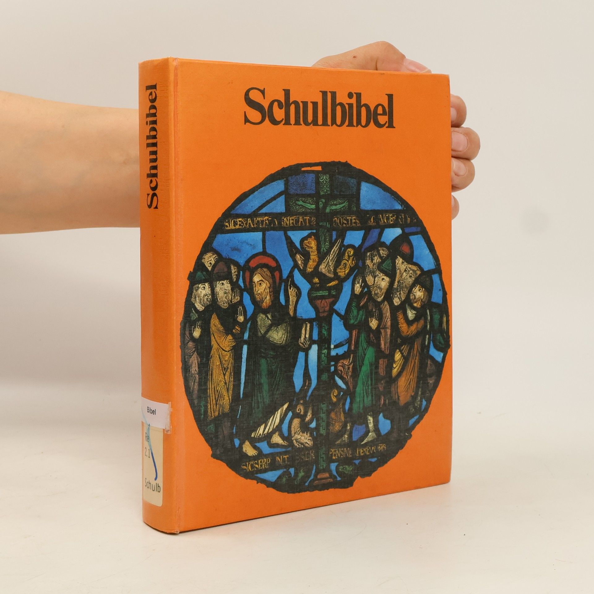 Various authors Schulbibel für 10-14 jährige