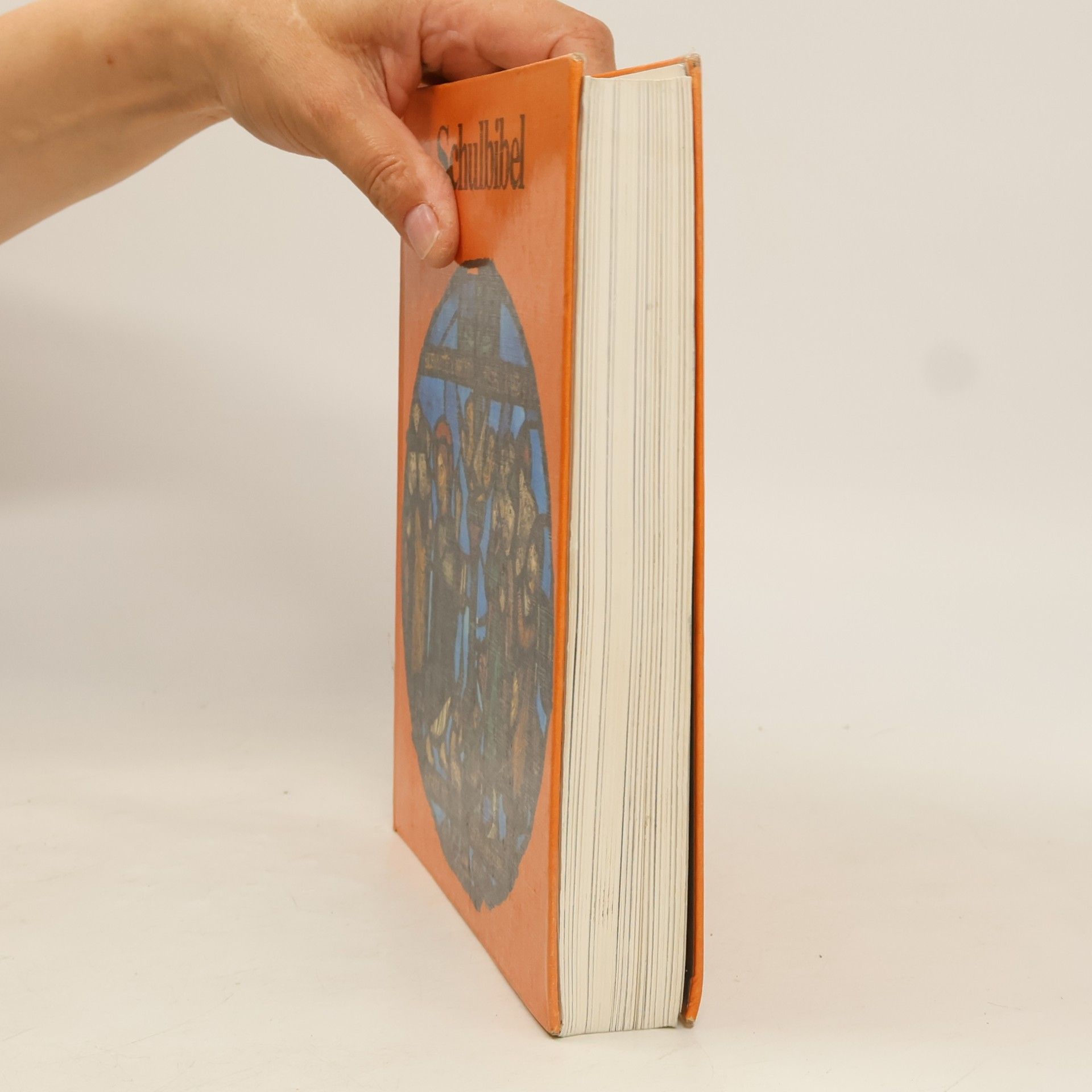 Various authors Schulbibel für 10-14 jährige