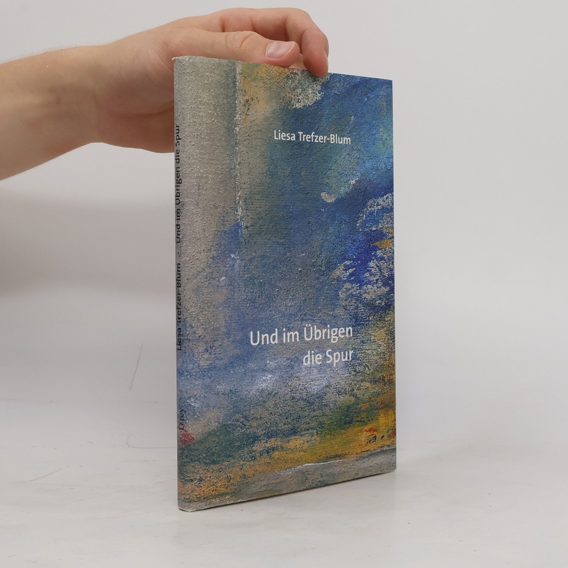 Liesa Trefzer-Blum Und im Übrigen die Spur