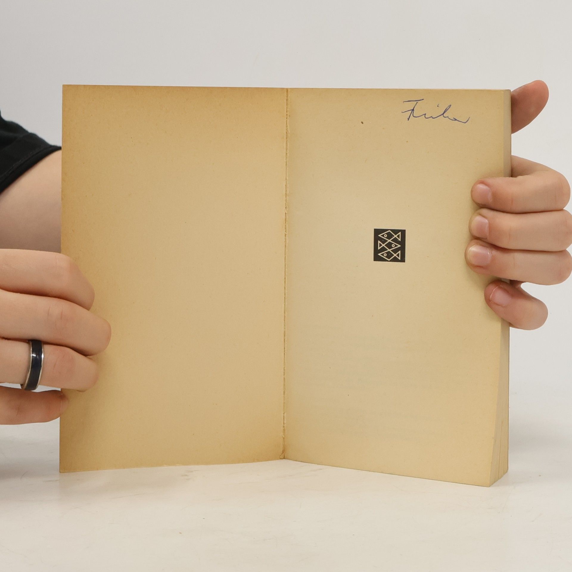 Peter Hegel Hegel. Studien Ausgabe 1