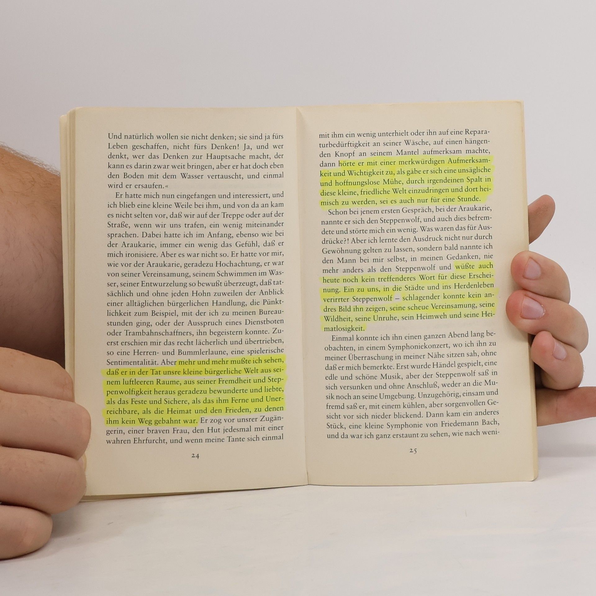 Hermann Hesse Der Steppenwolf