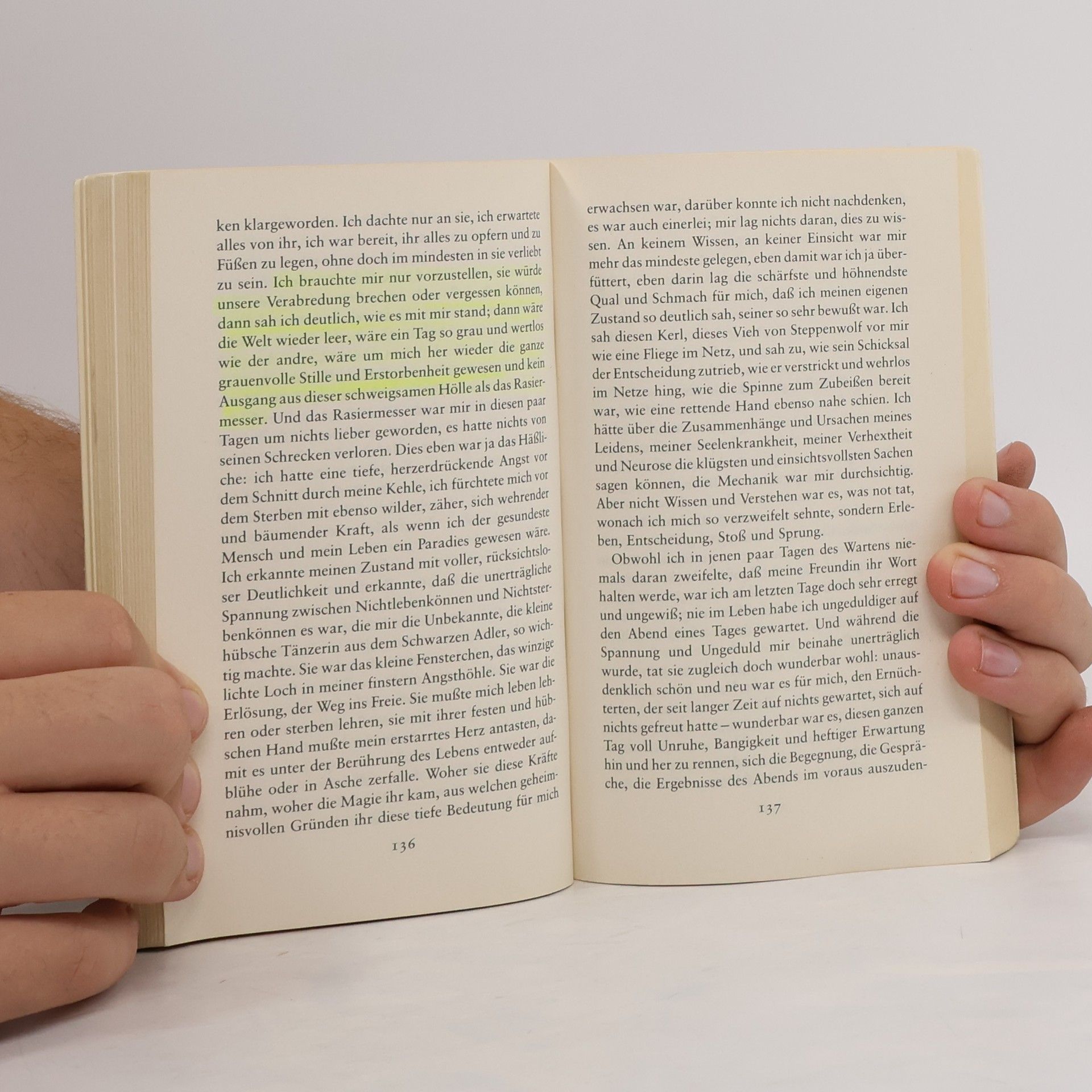 Hermann Hesse Der Steppenwolf