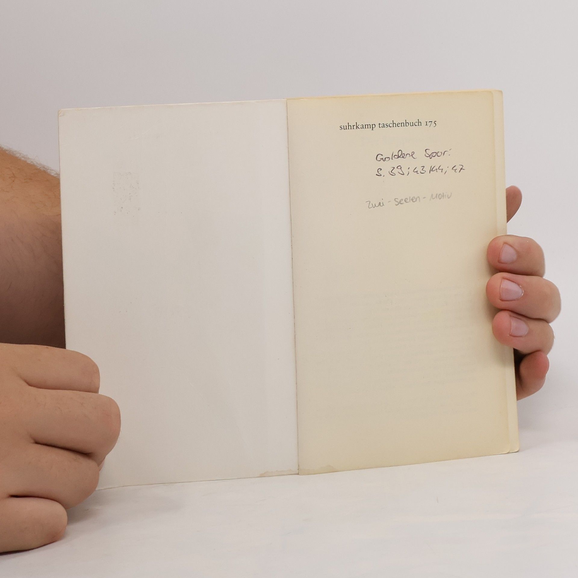 Hermann Hesse Der Steppenwolf