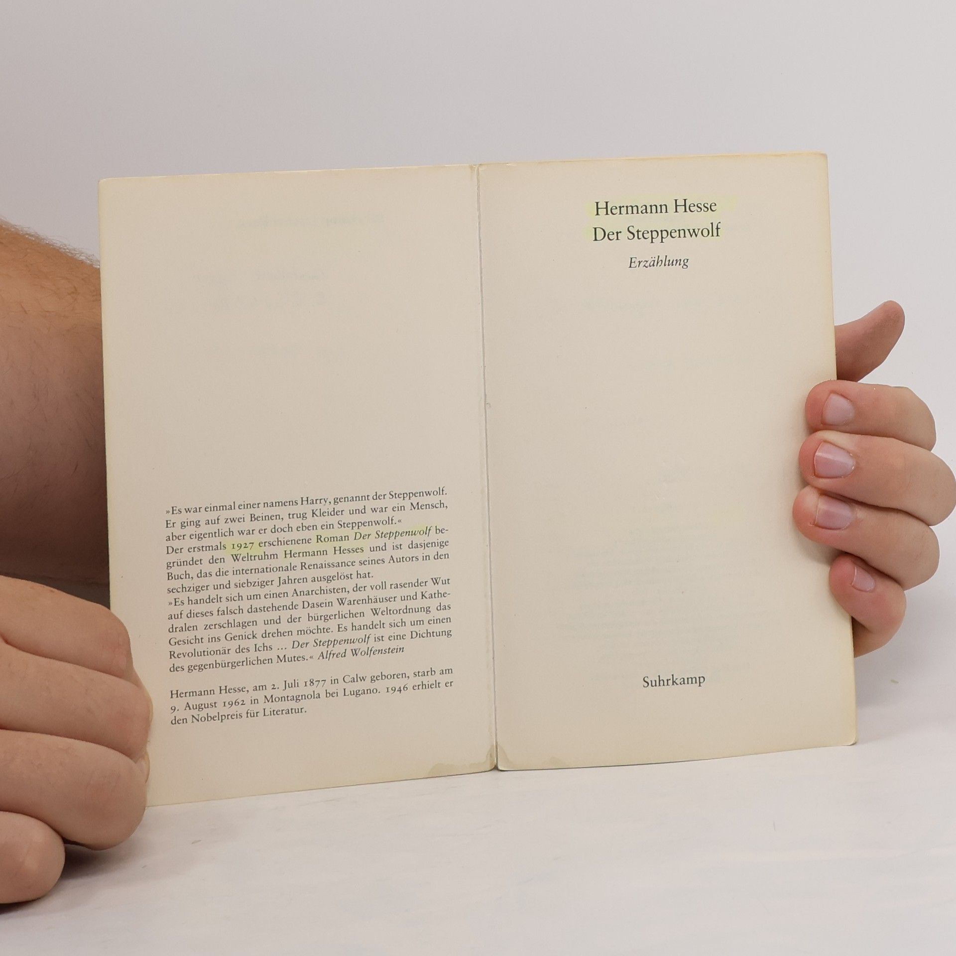 Hermann Hesse Der Steppenwolf