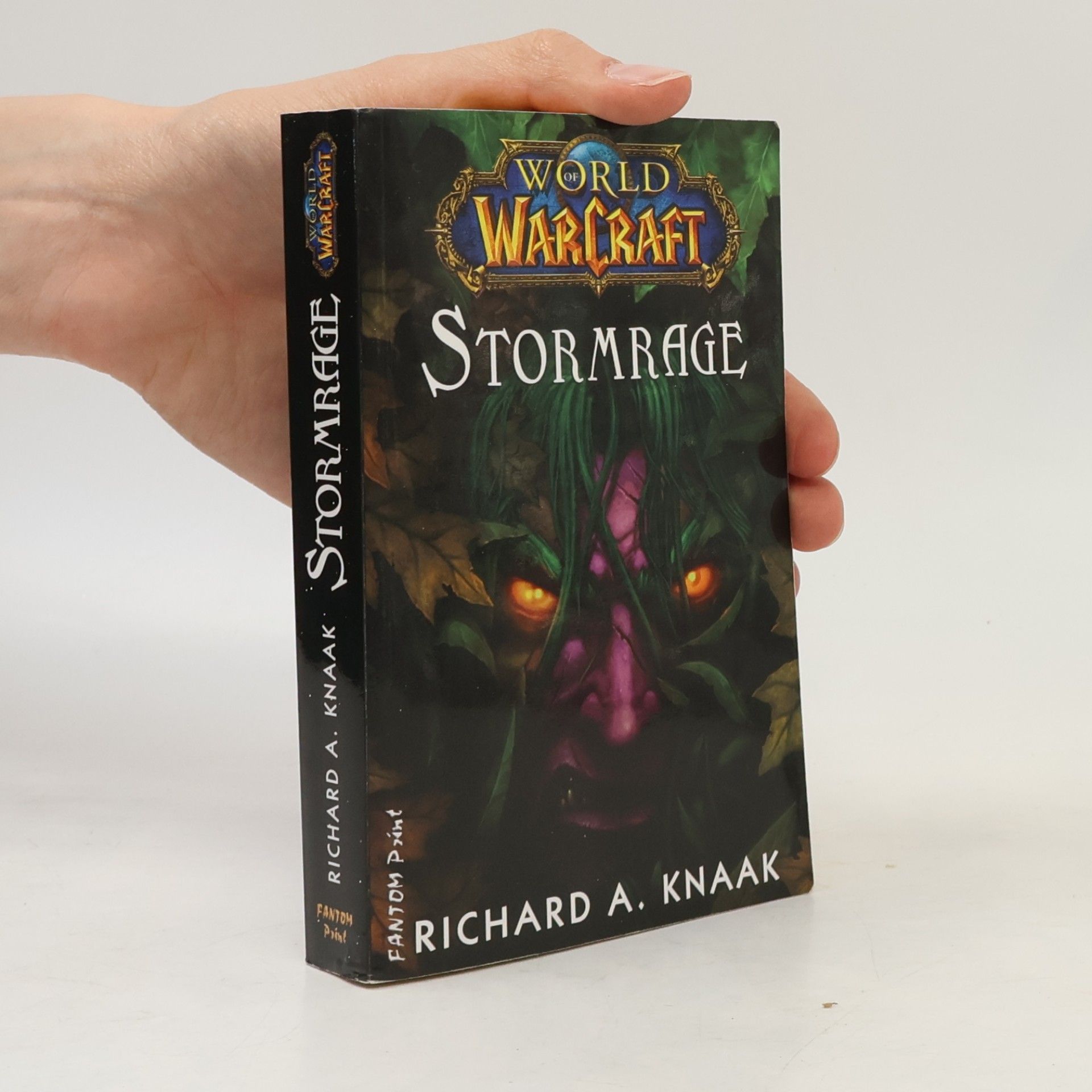 Richard A. Knaak World WarCraft. Stormrage