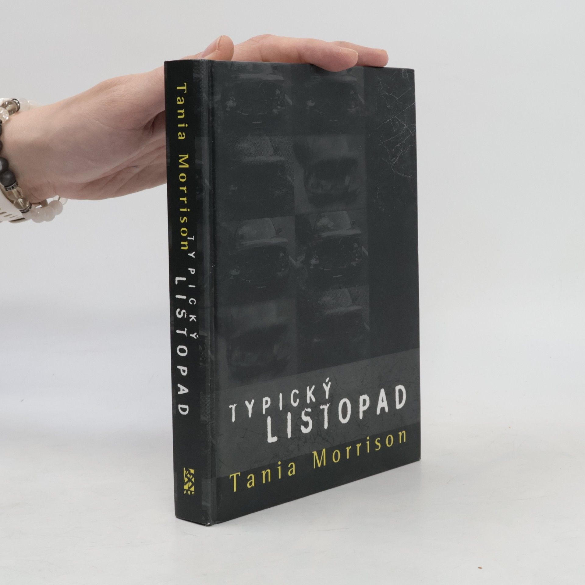 Tania Morrison Typický listopad