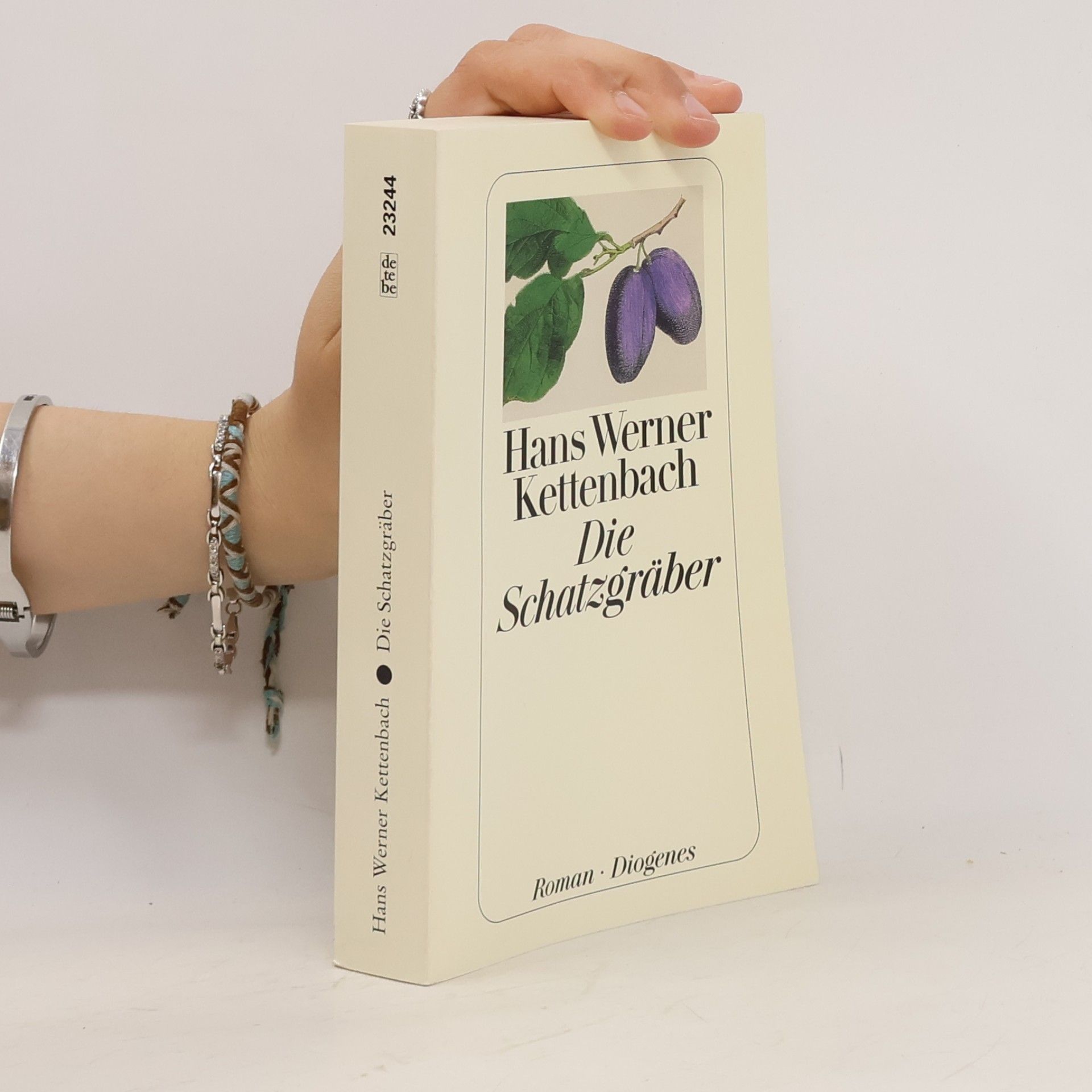 Hans Werner Kettenbach Die Schatzgräber
